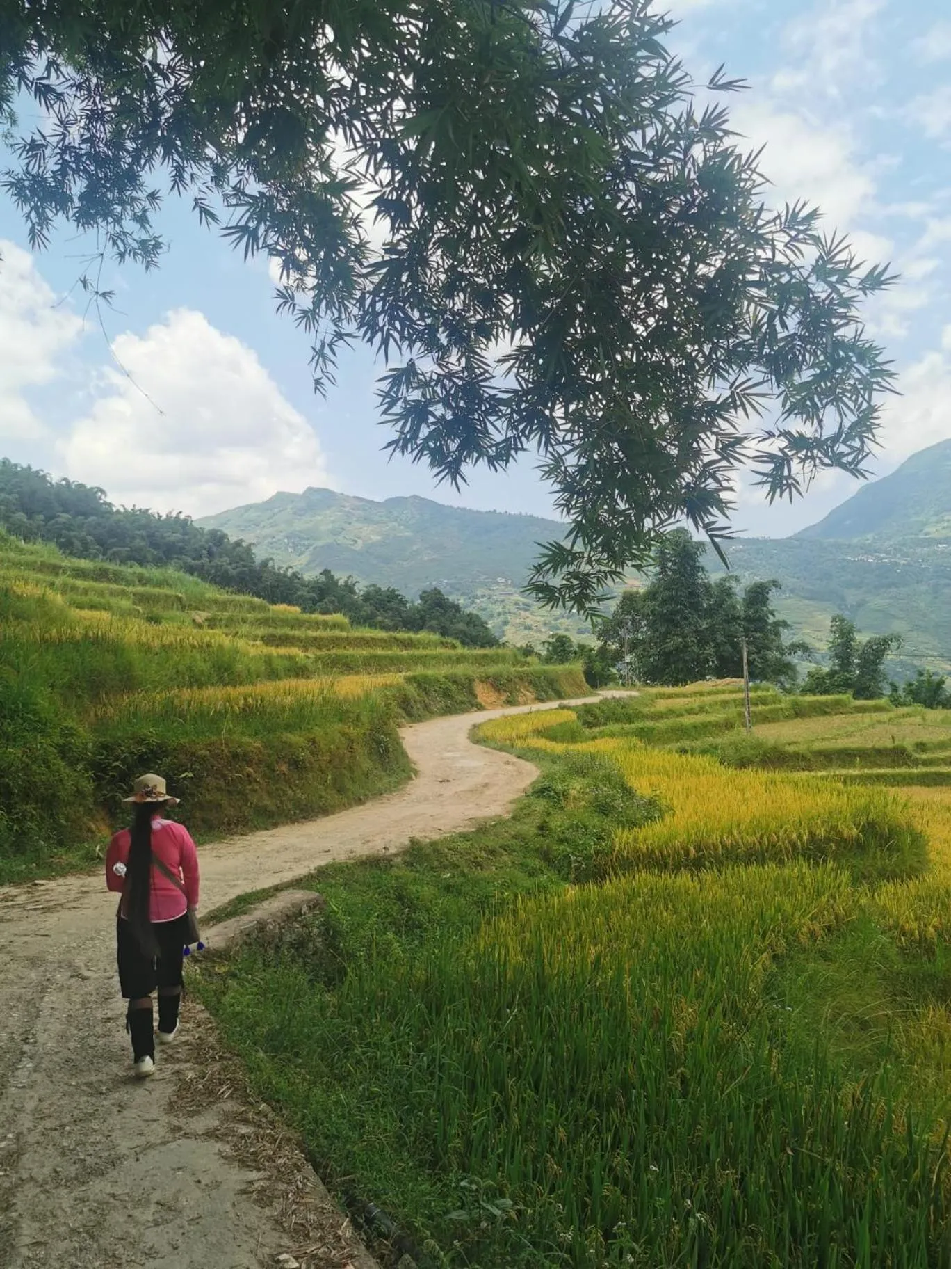 People in Surelee Homestay