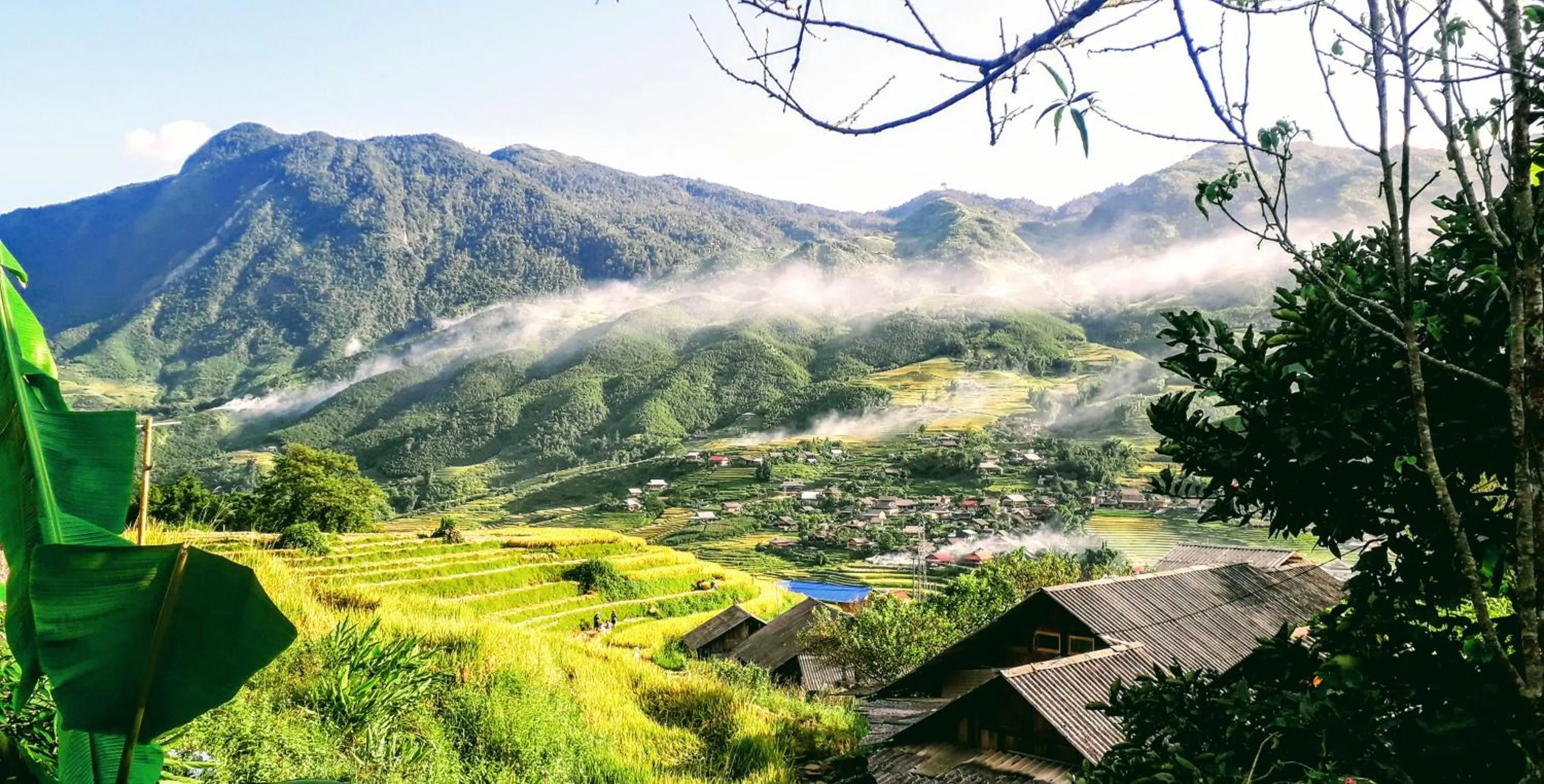 Neighbourhood in Surelee Homestay