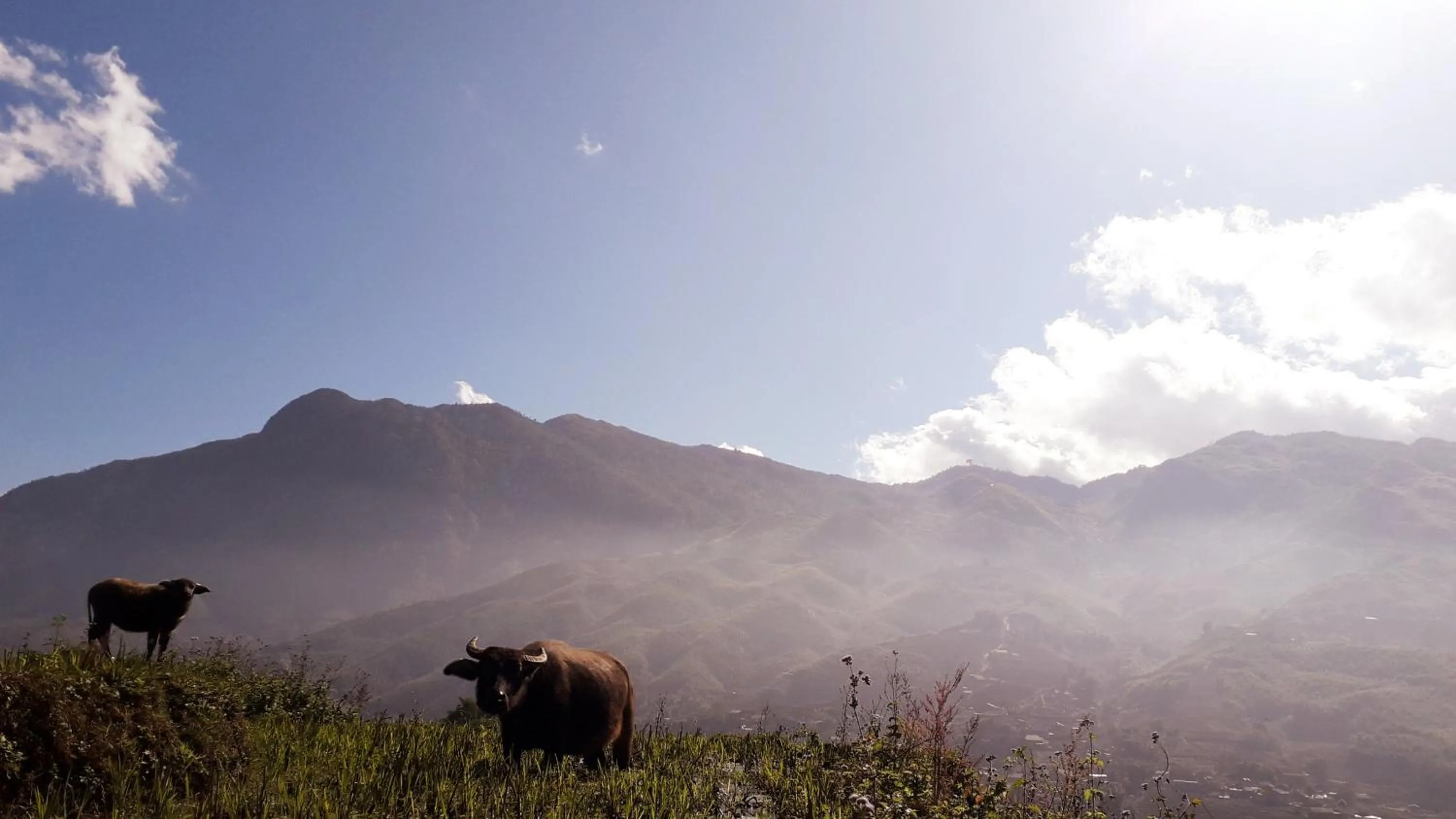 Natural landscape in Surelee Homestay