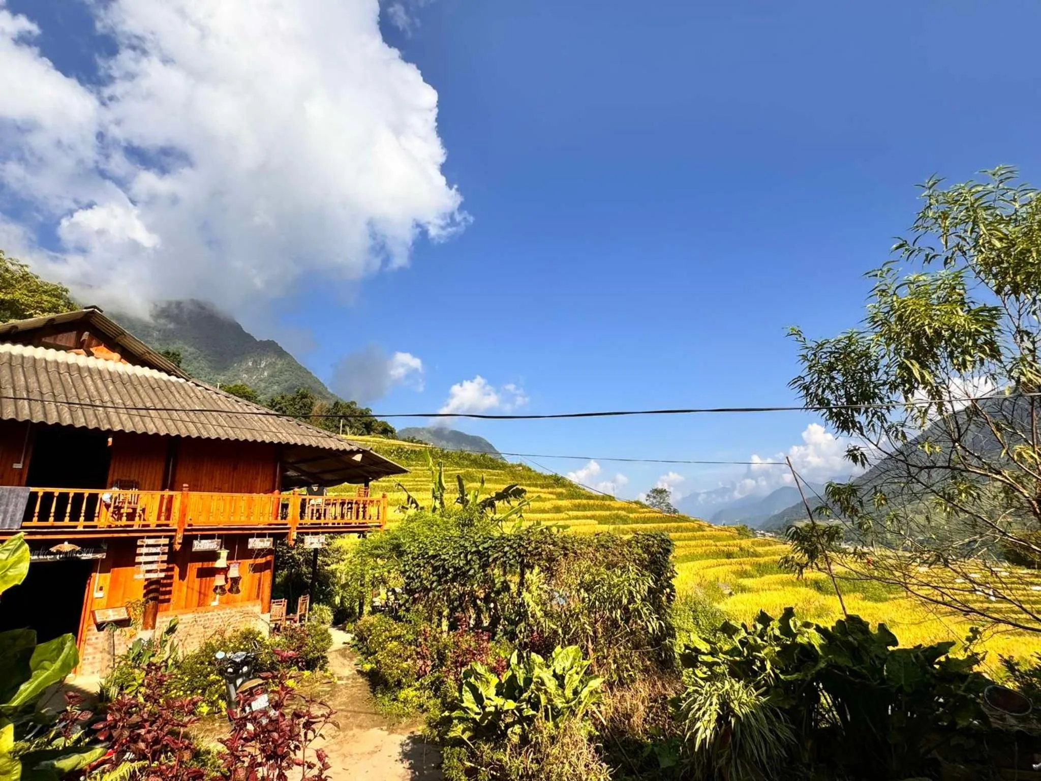 Property building in Surelee Homestay