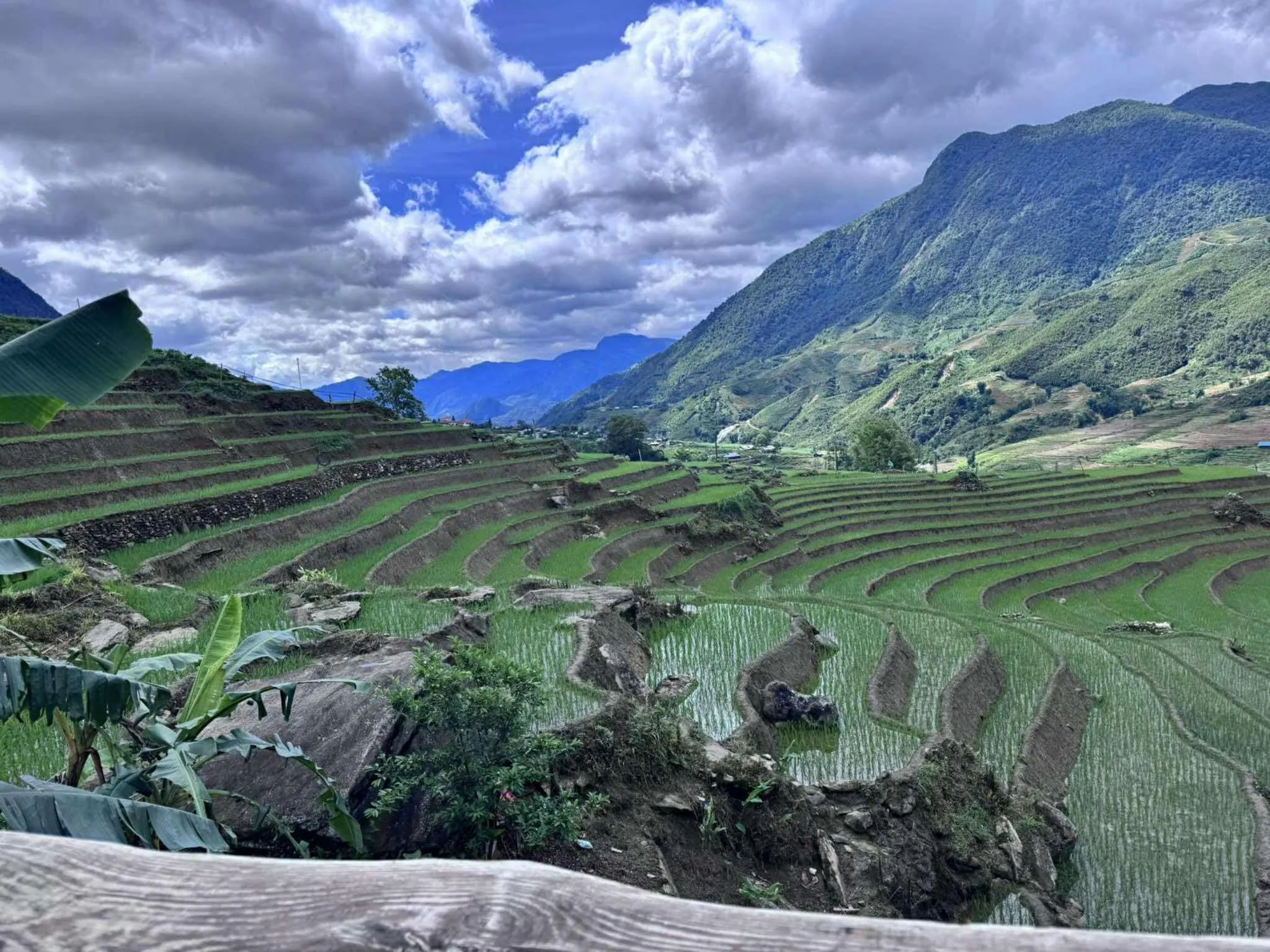 View (from property/room) in Surelee Homestay