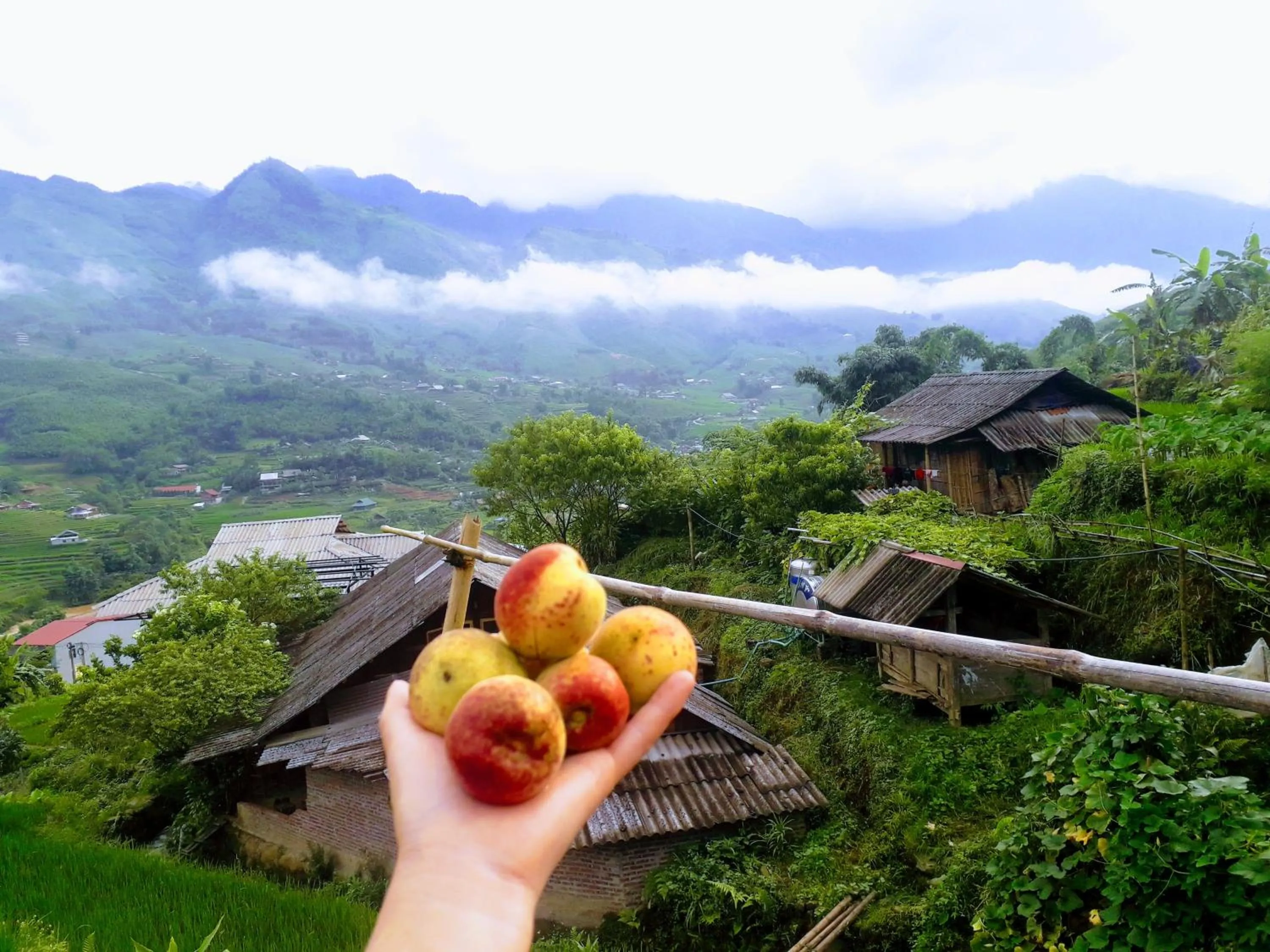 Food in Surelee Homestay