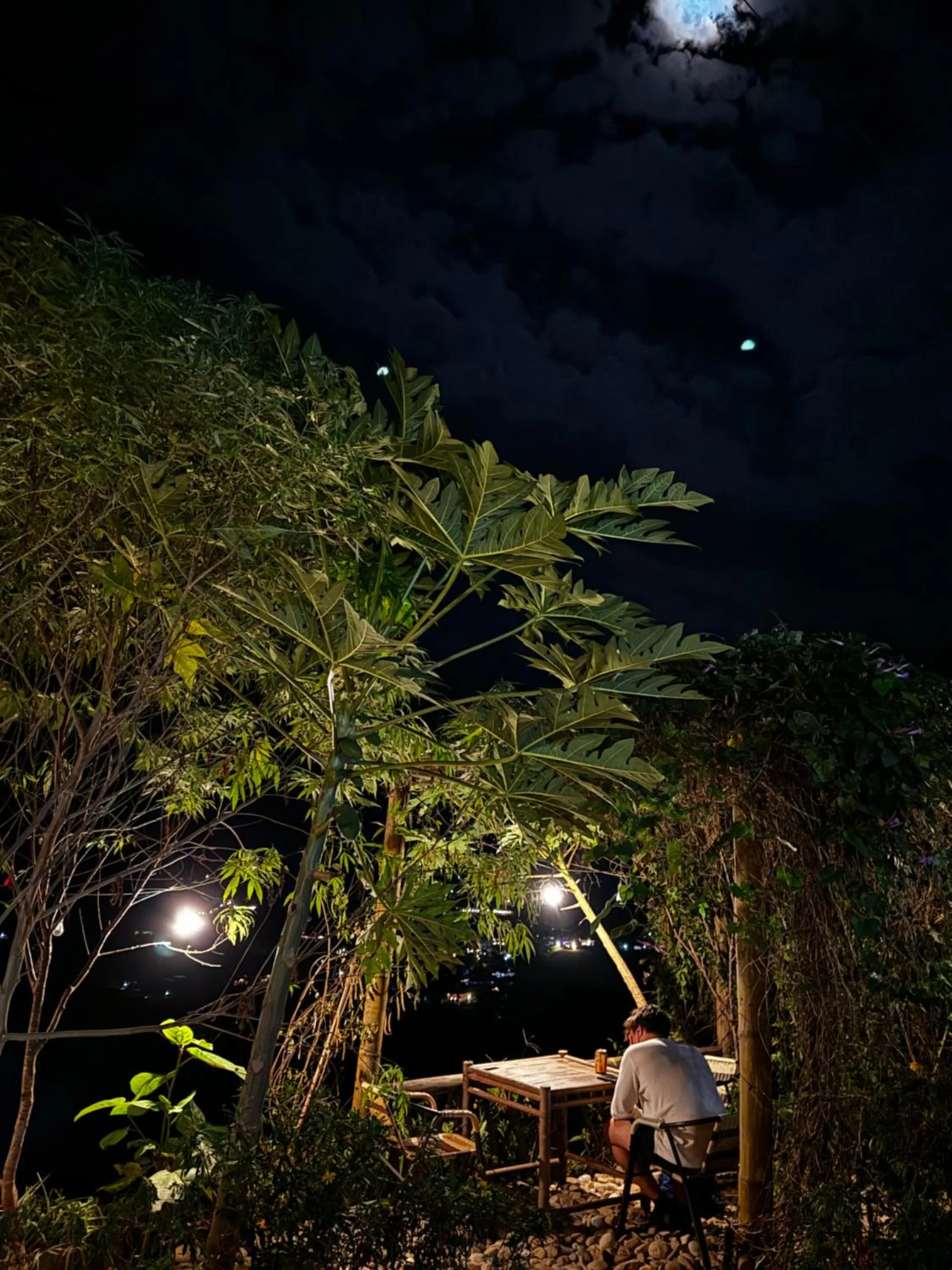 Night in Surelee Homestay