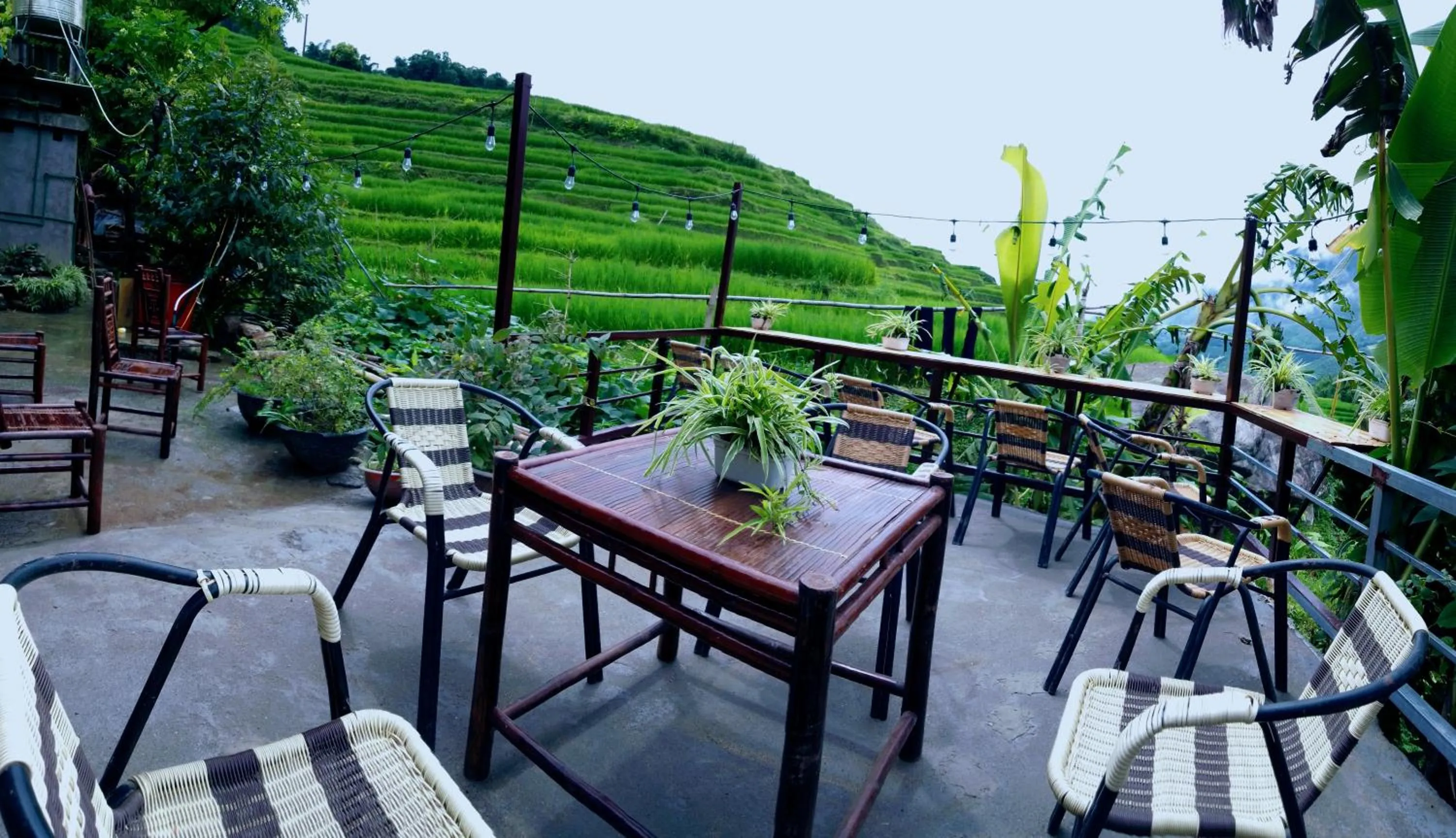 Patio in Surelee Homestay