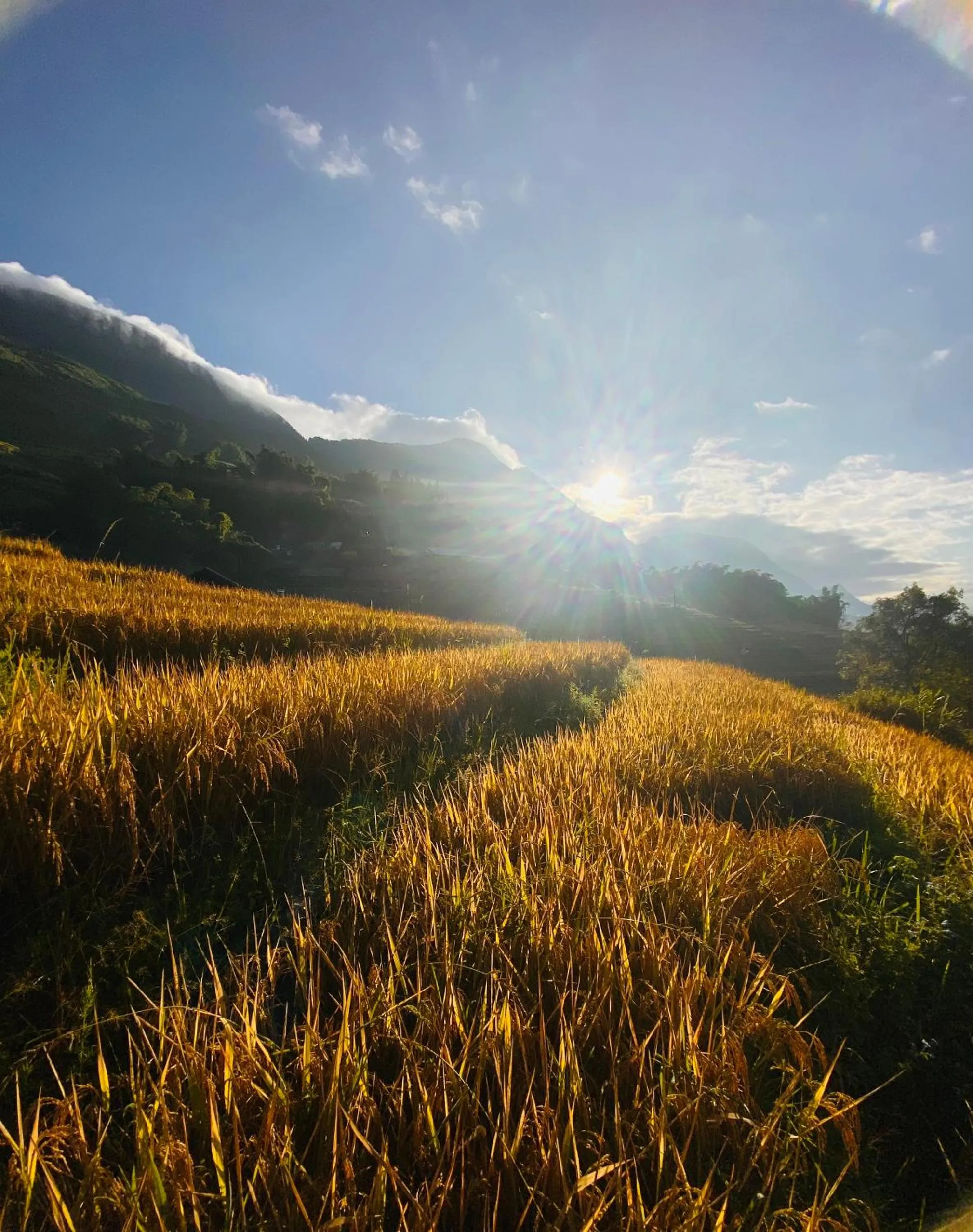 Natural landscape in Surelee Homestay