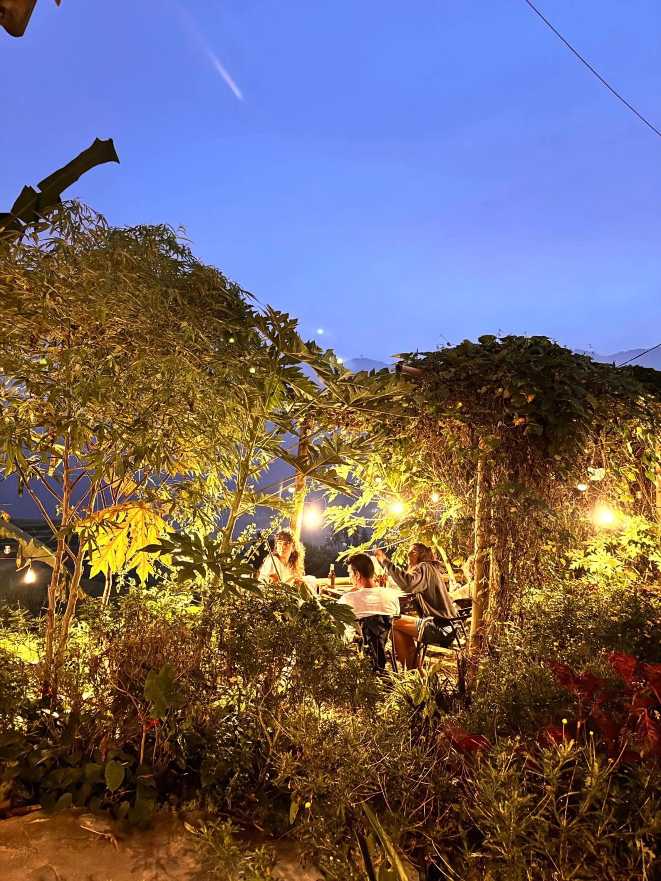 Natural landscape in Surelee Homestay