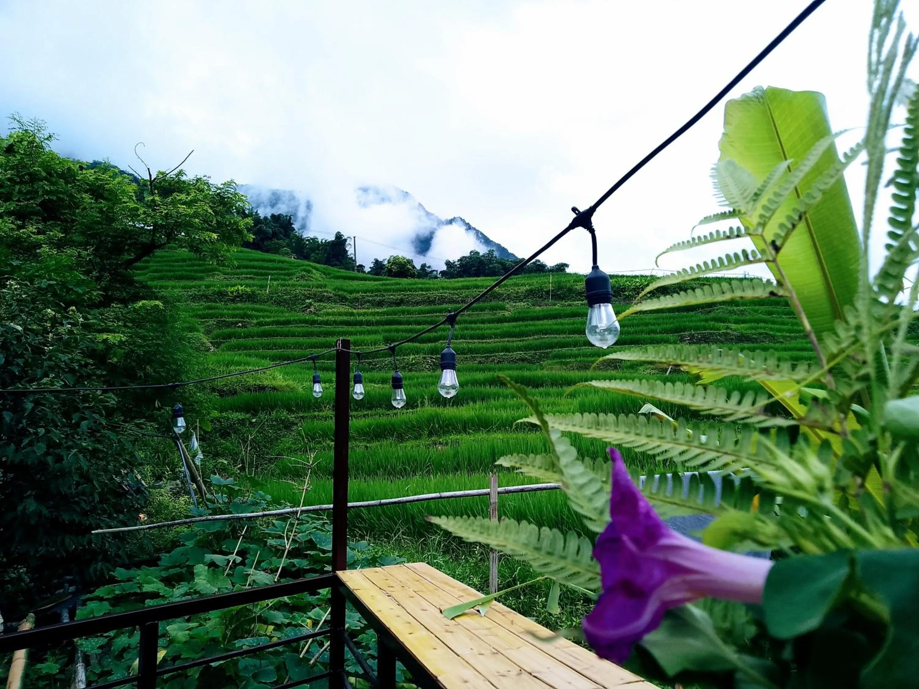Natural landscape in Surelee Homestay