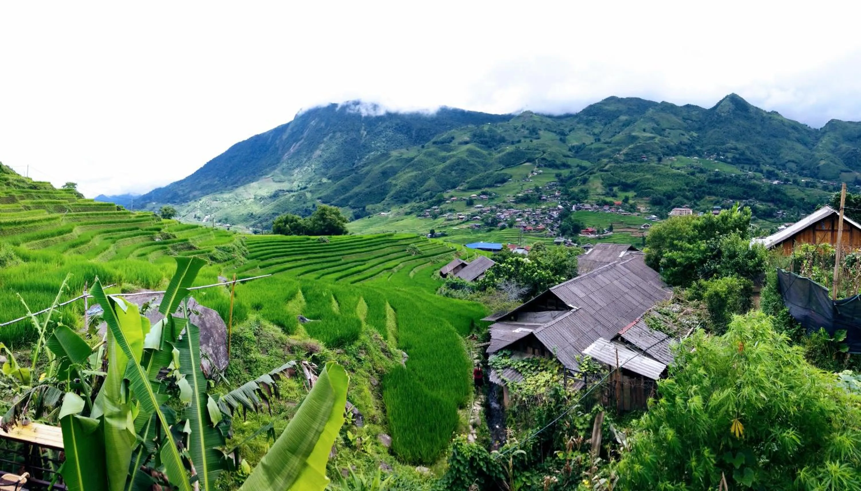 Mountain view in Surelee Homestay