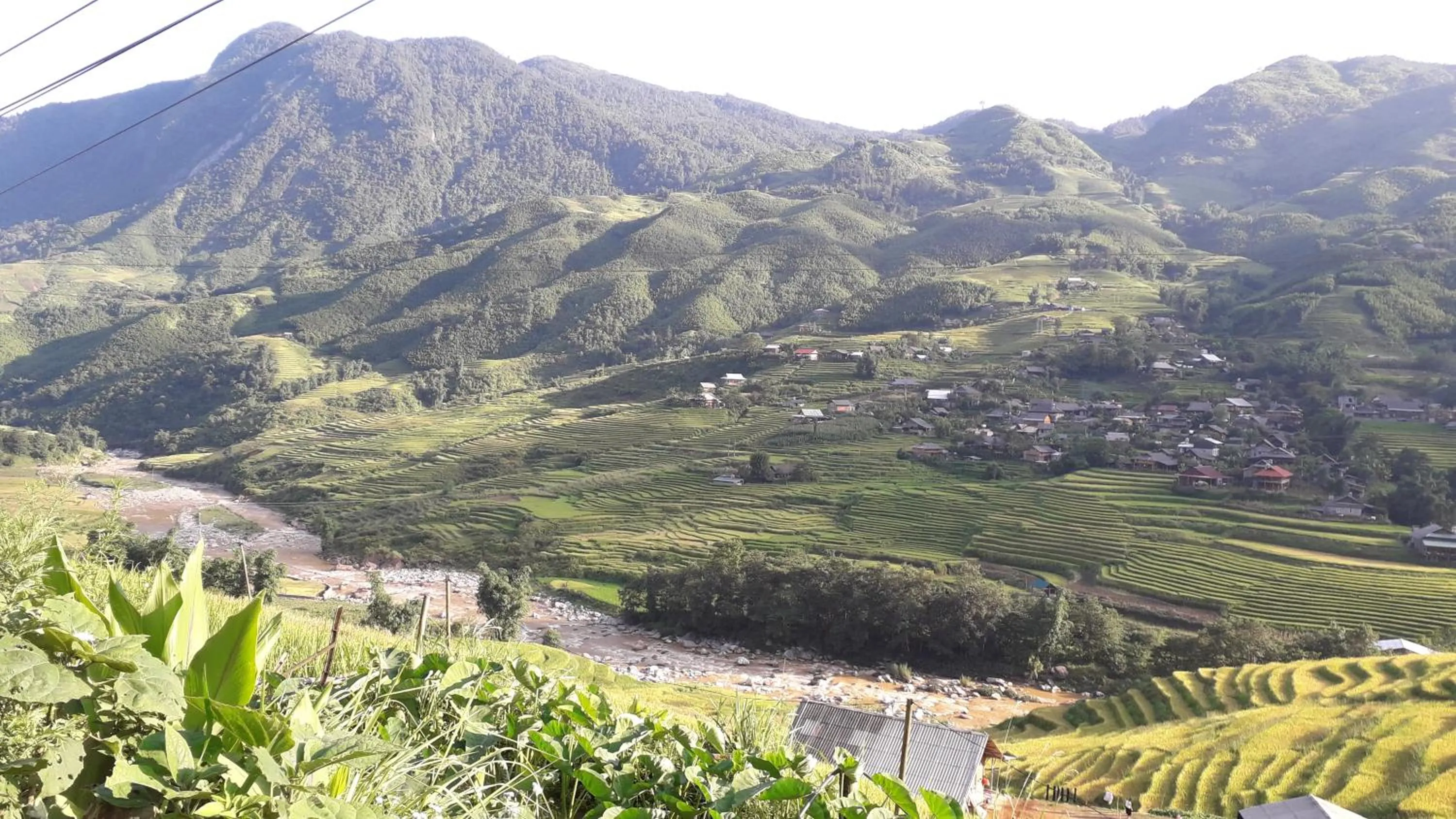 Natural landscape in Surelee Homestay