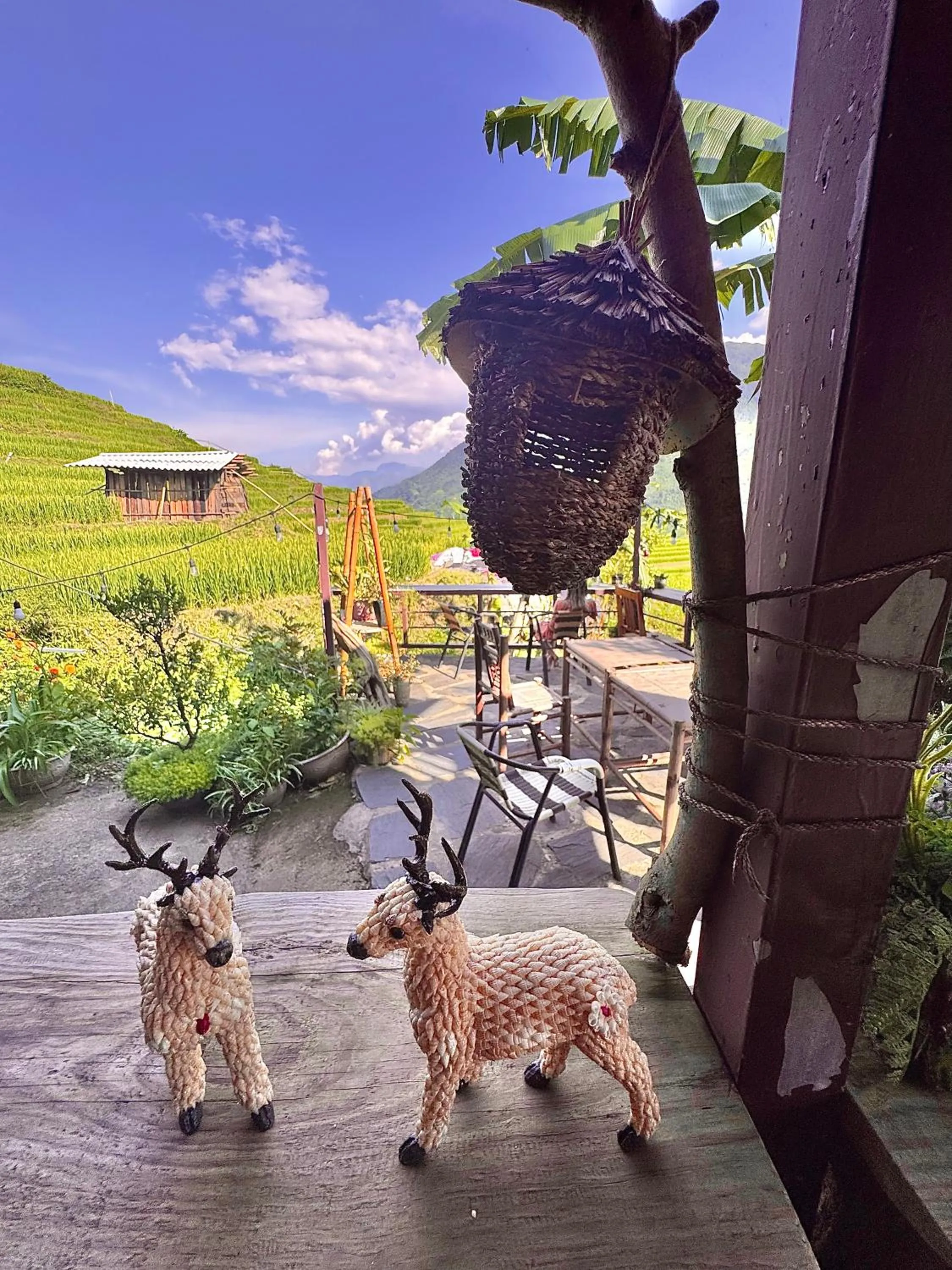 Day in Surelee Homestay
