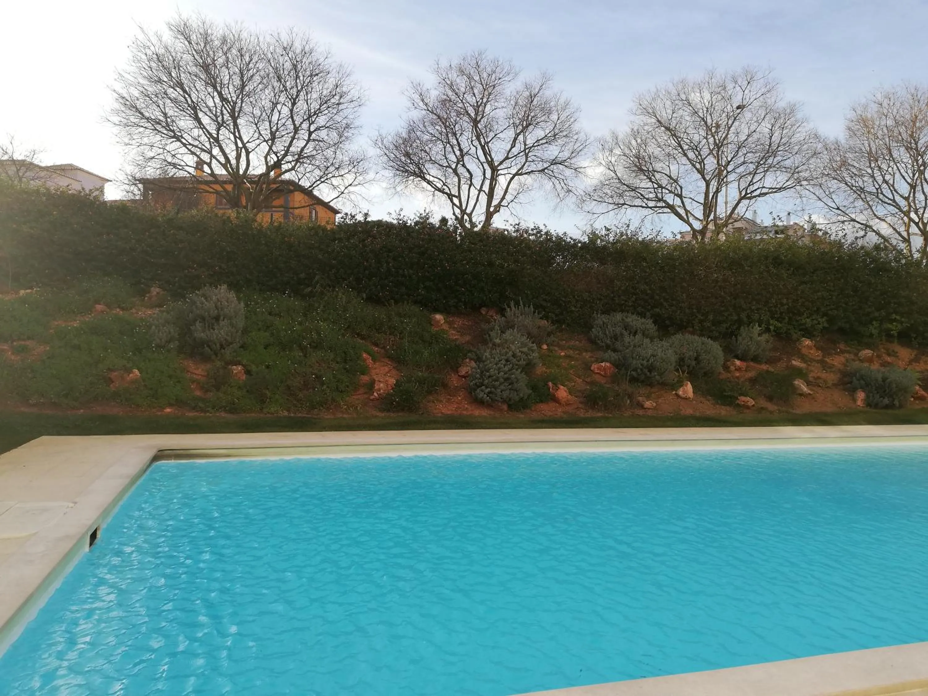 Pool view in Flamingo Apartment