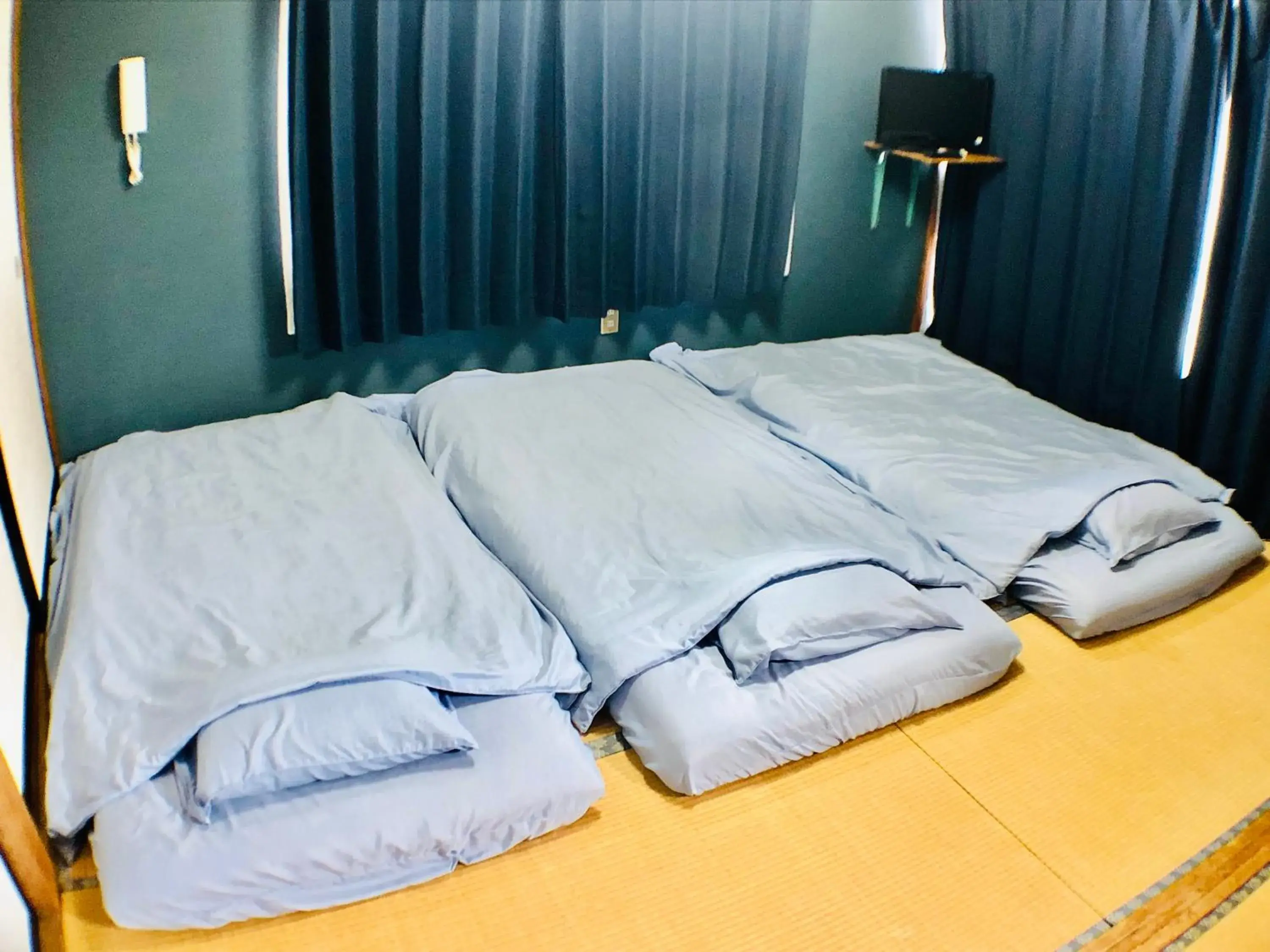 Economy Triple Room - single occupancy in Habitacion NIIYA Mt Fuji Economy Triple Room - single occupancy in Habitacion NIIYA Mt Fuji