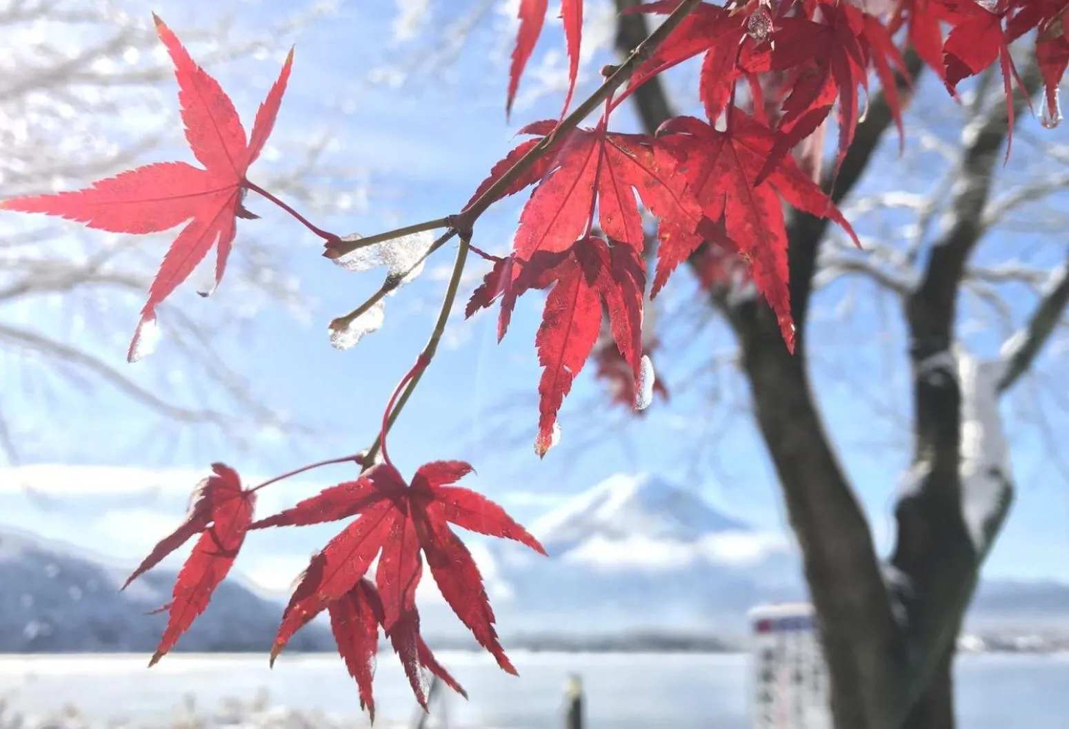 Off site in Habitacion NIIYA Mt Fuji