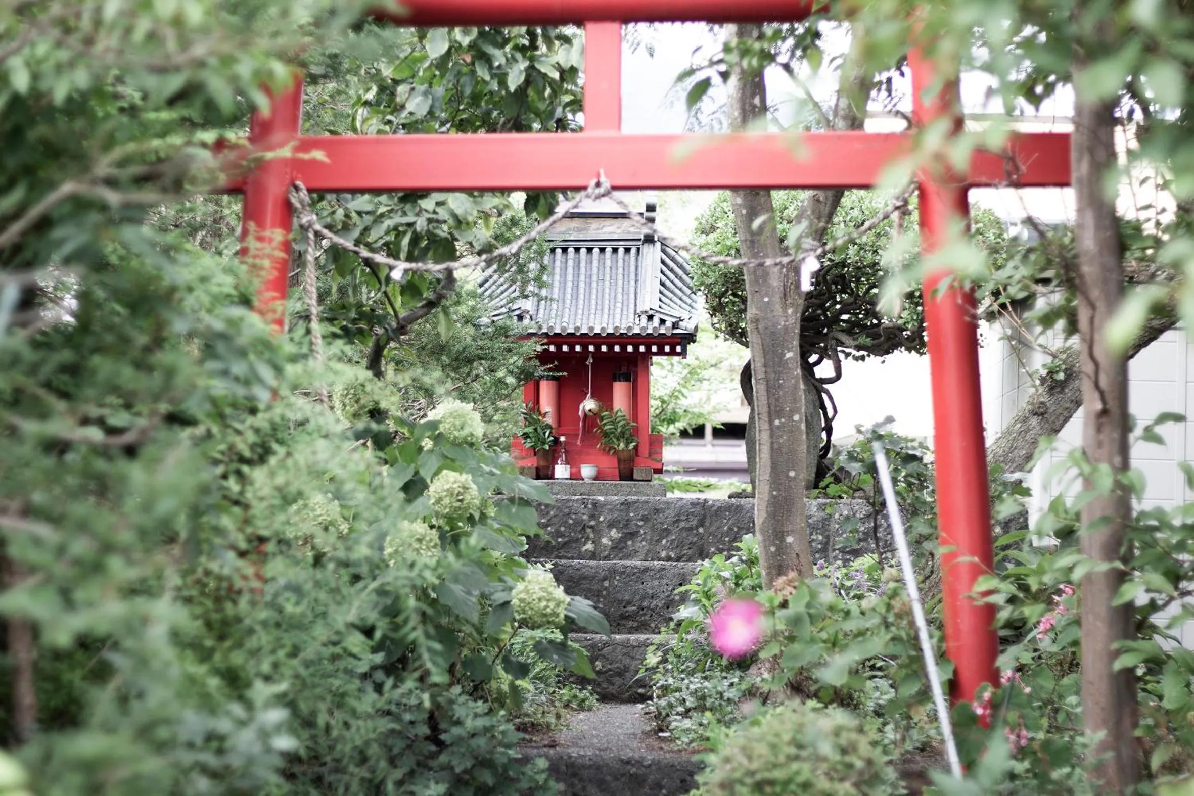 Habitacion NIIYA Mt Fuji