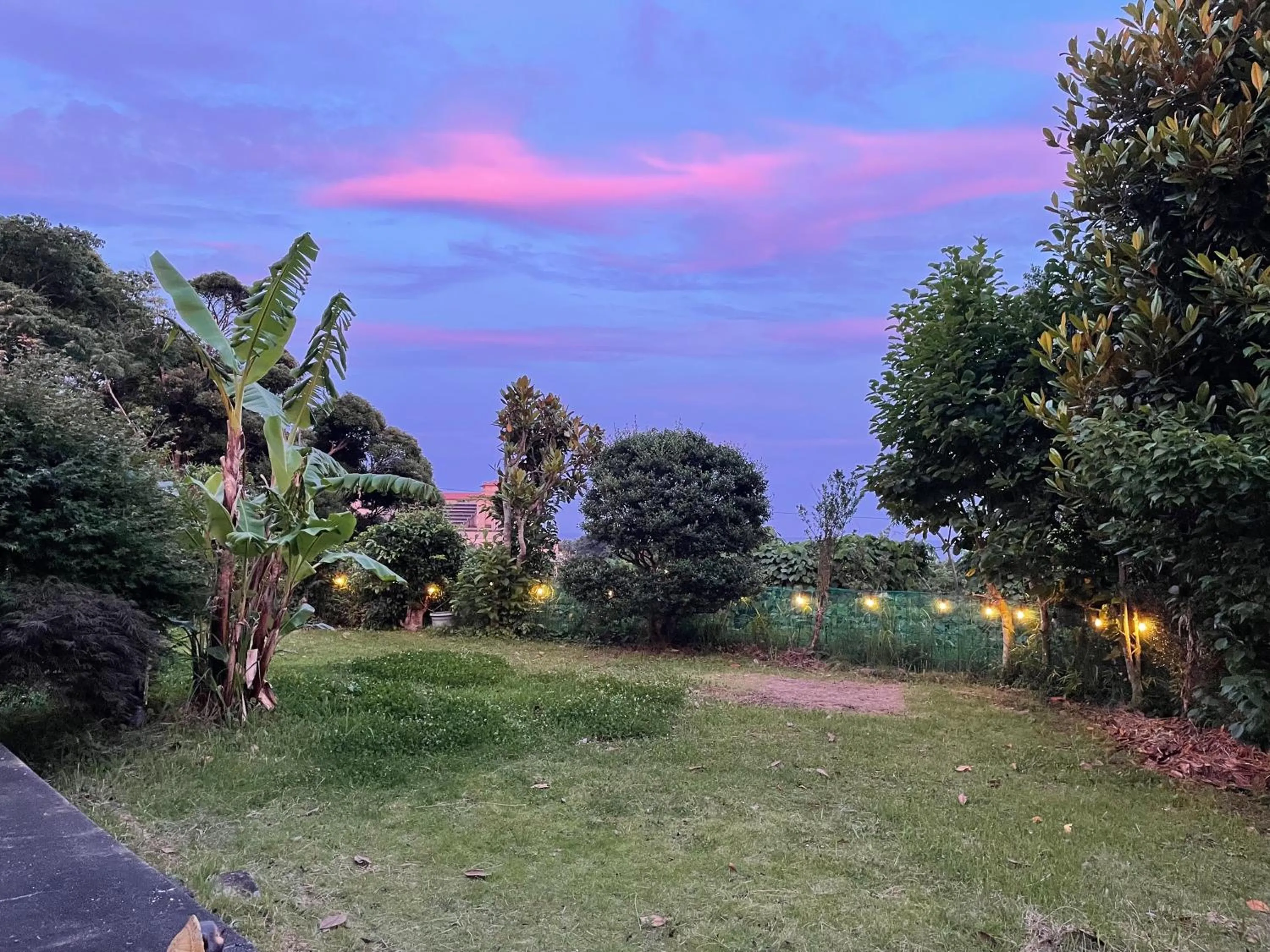 Guesthouse Papaya