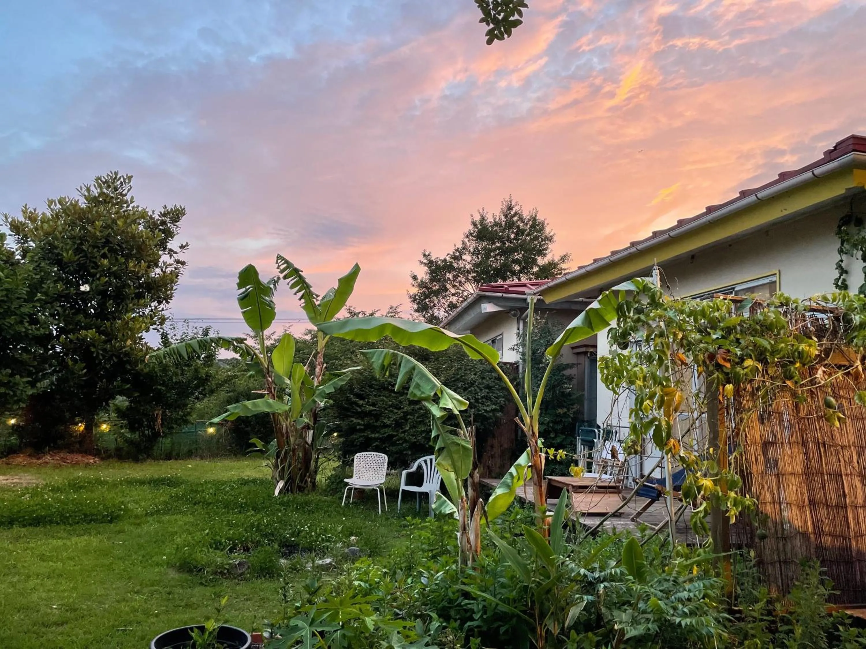 Guesthouse Papaya