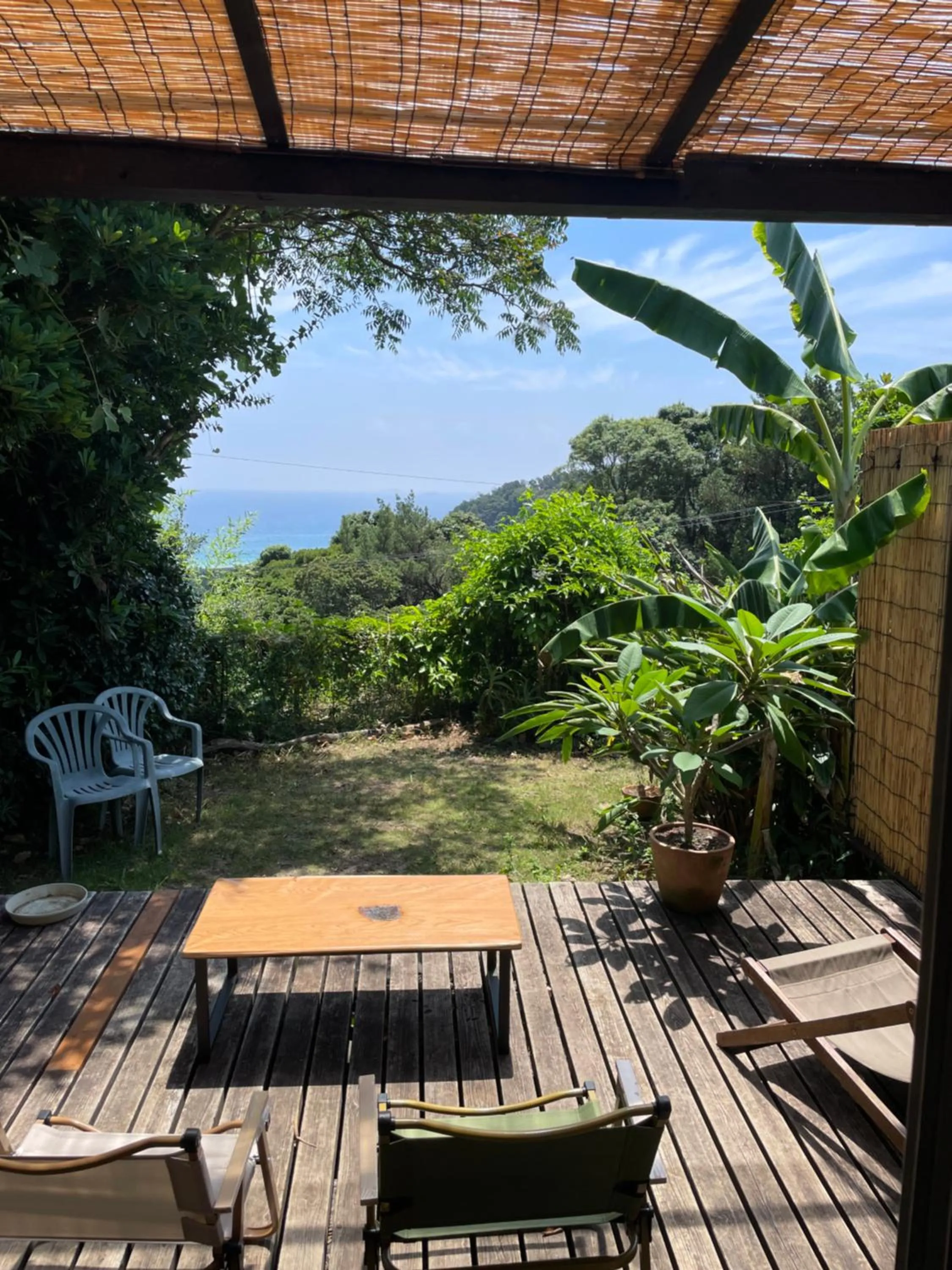 Guesthouse Papaya