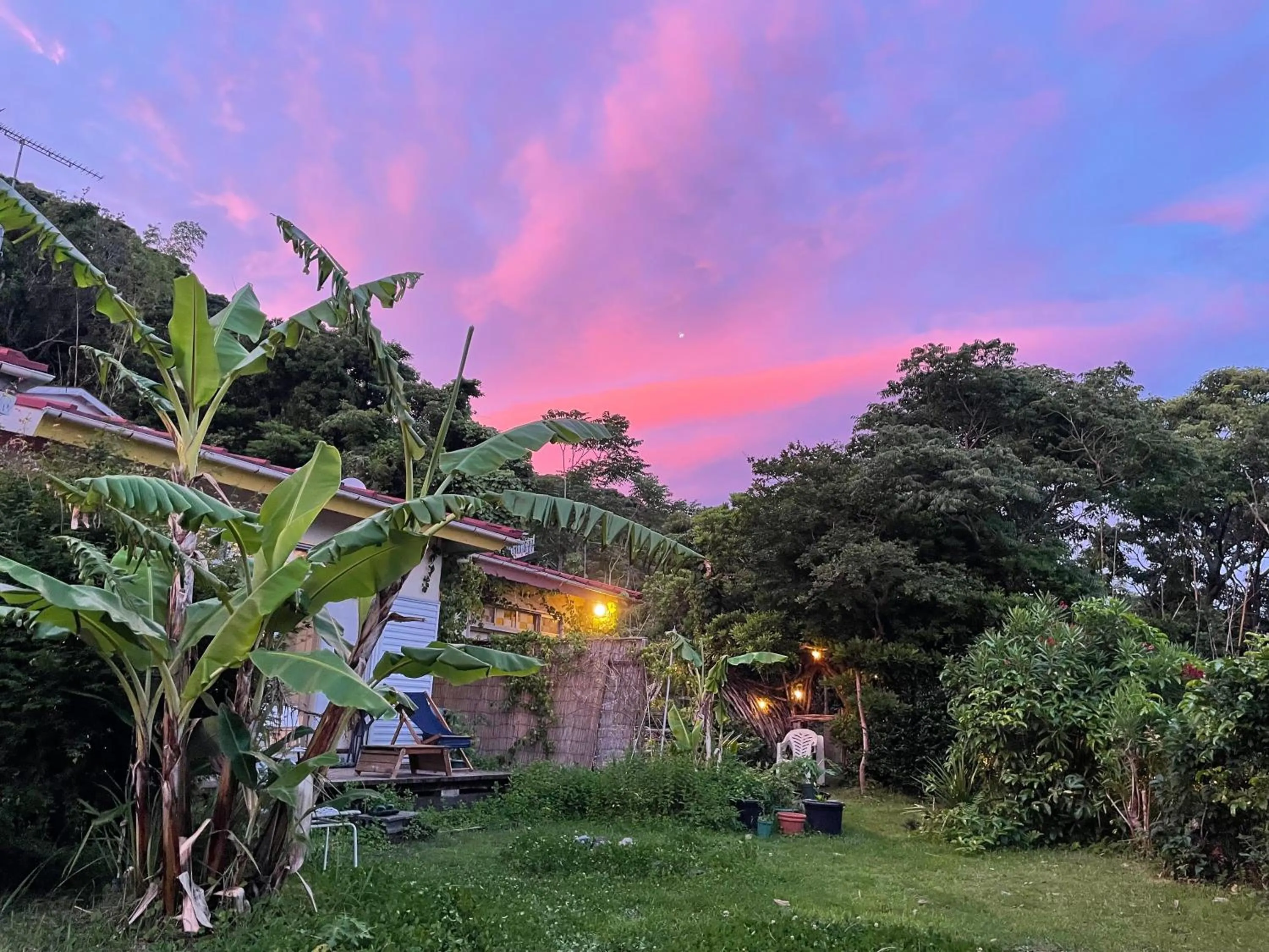 Guesthouse Papaya