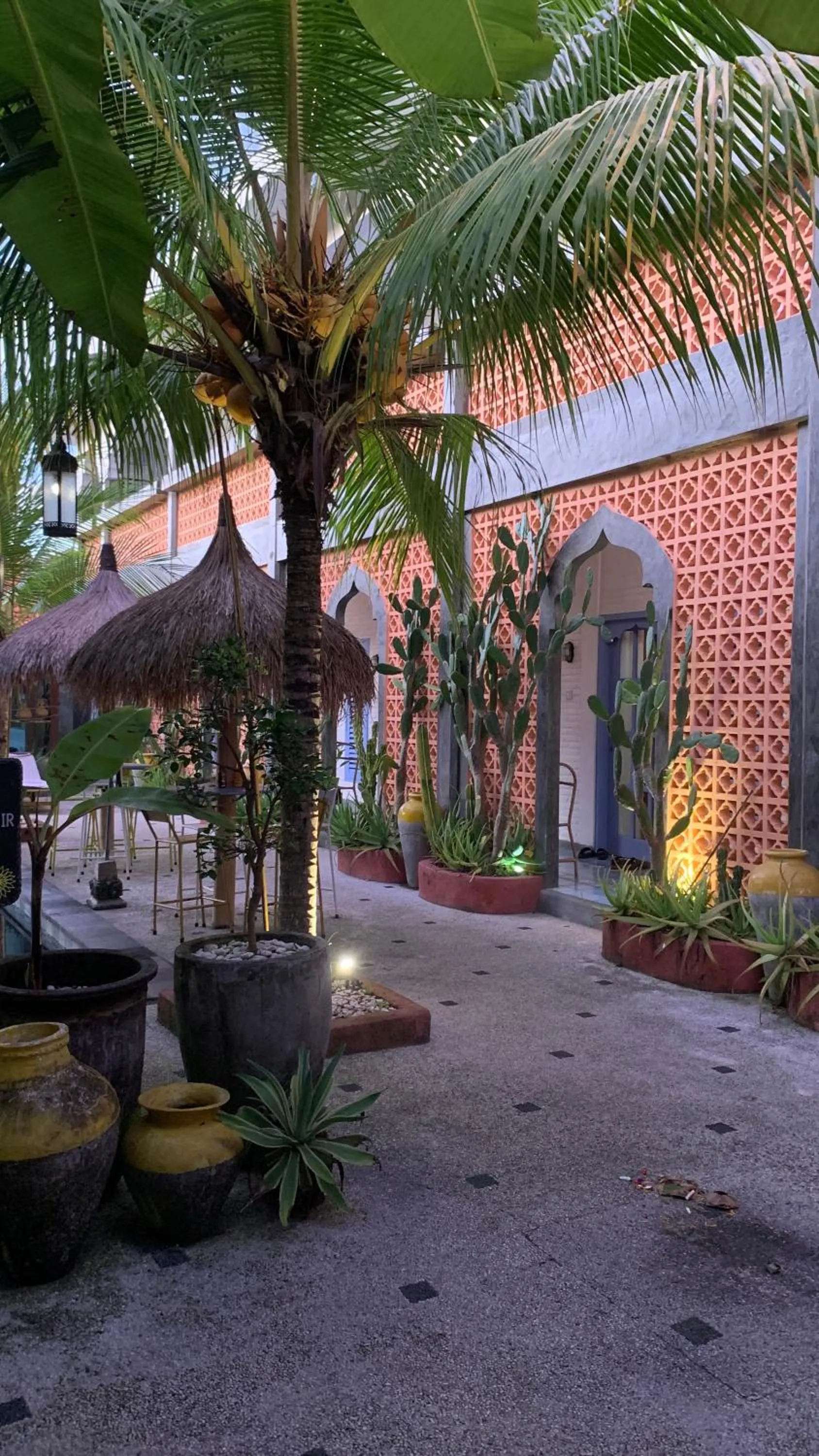 Garden view in Sunflower Stay And Surf