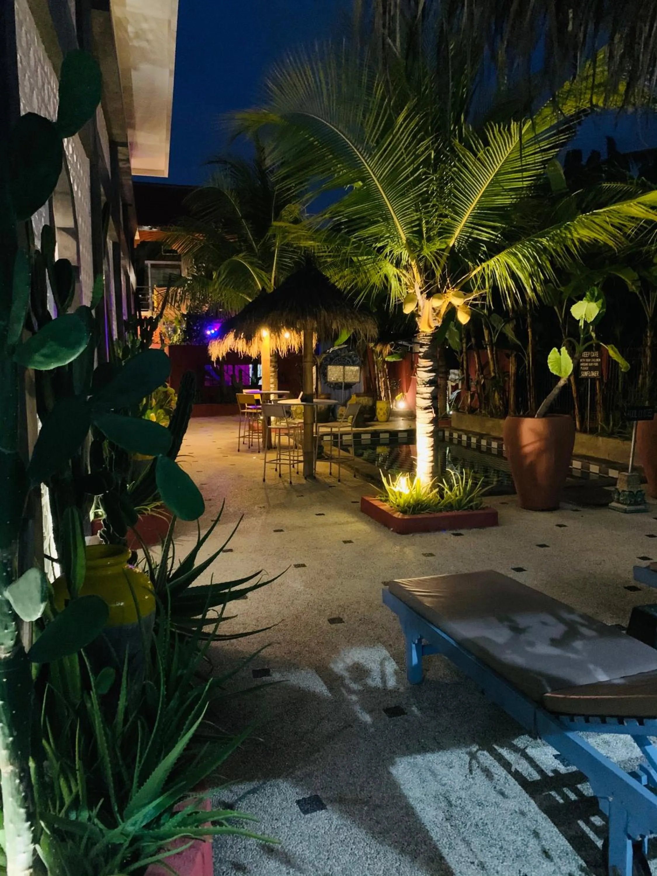 Area and facilities in Sunflower Stay And Surf
