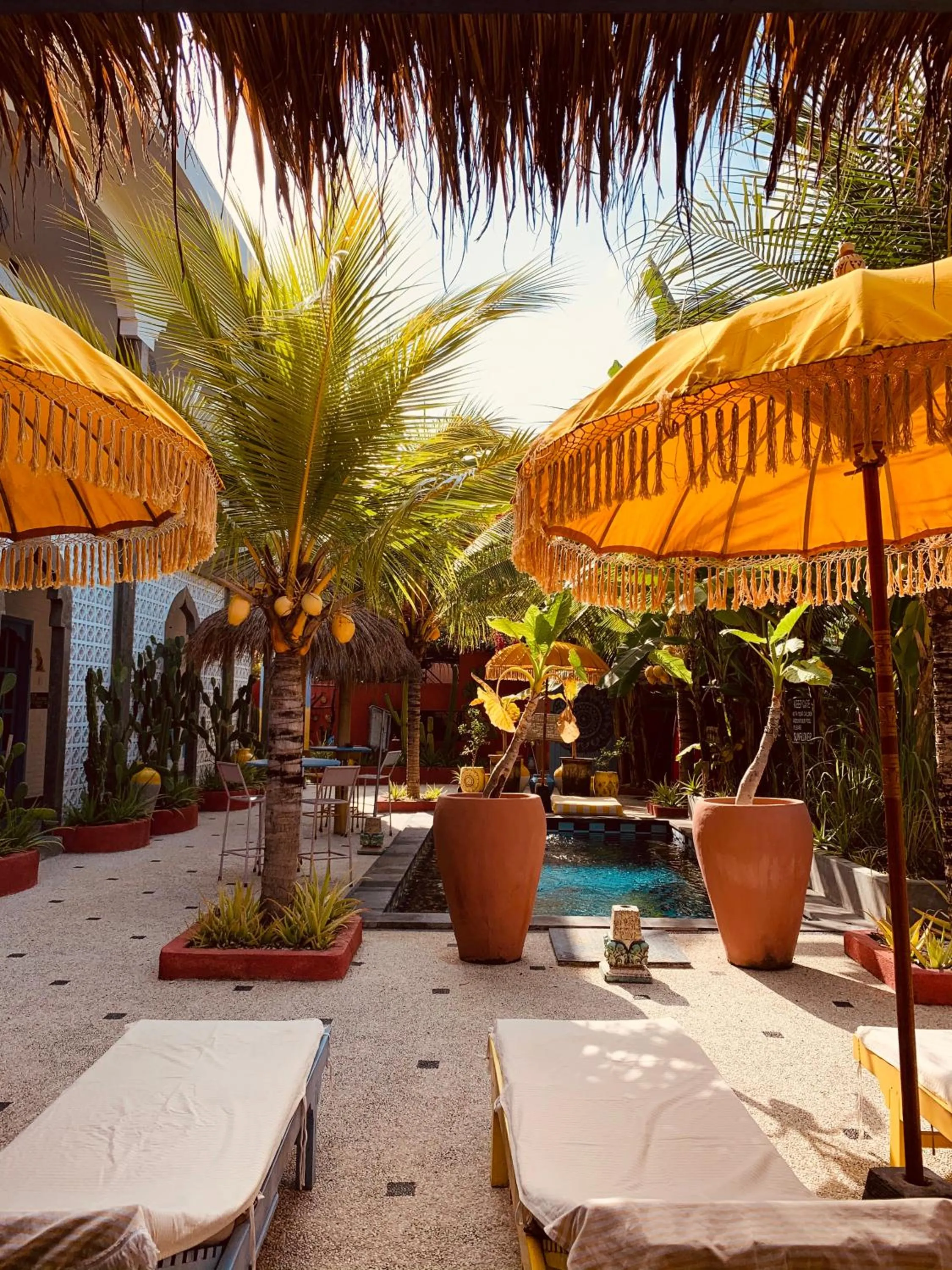 Garden in Sunflower Stay And Surf