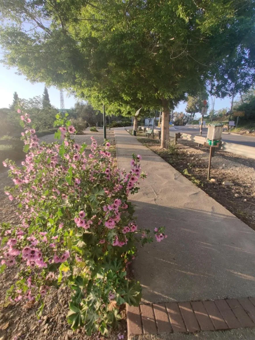 Natural landscape in Shoresh Green Hills