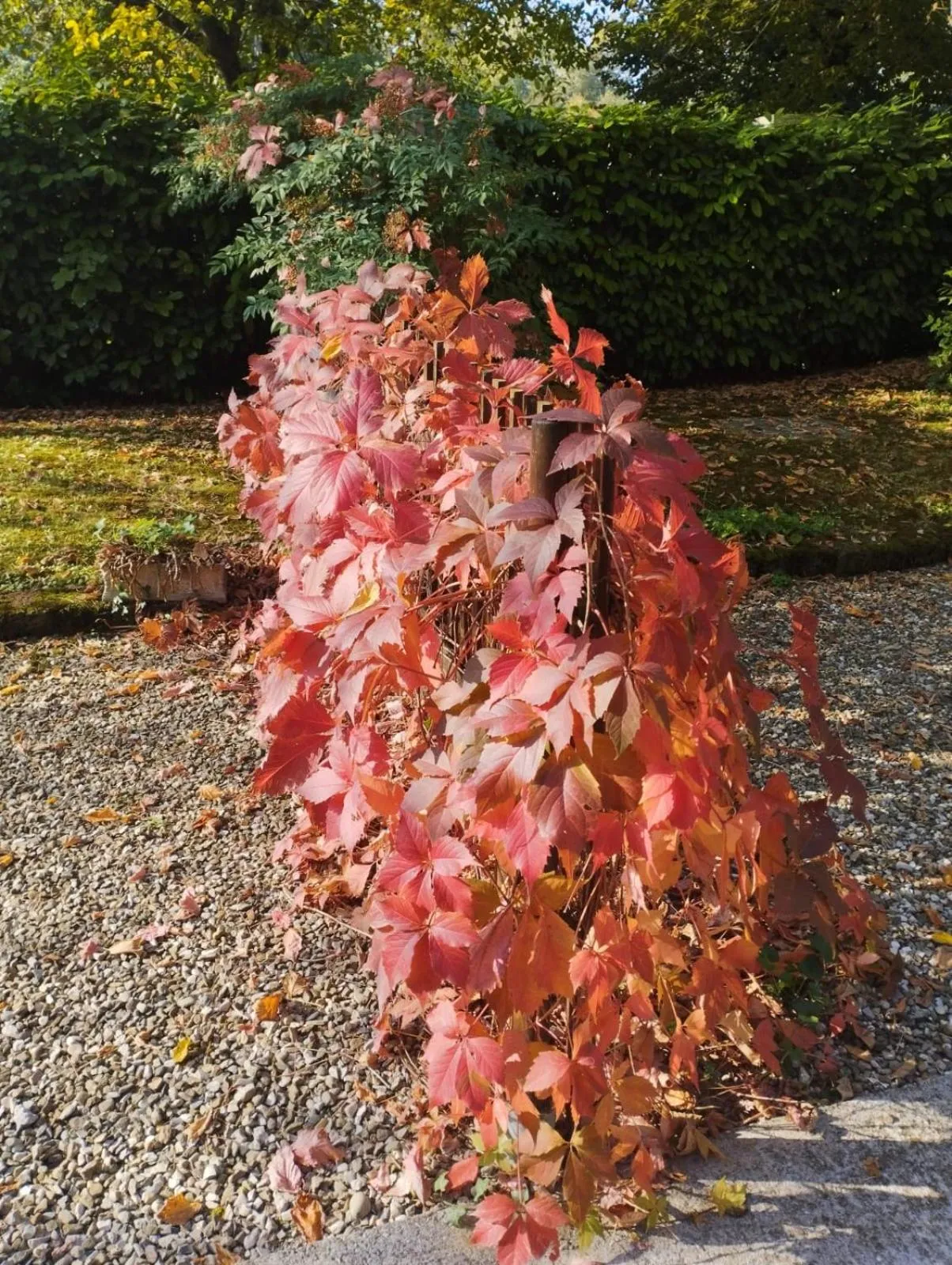 Garden in B&B Mo Va Là