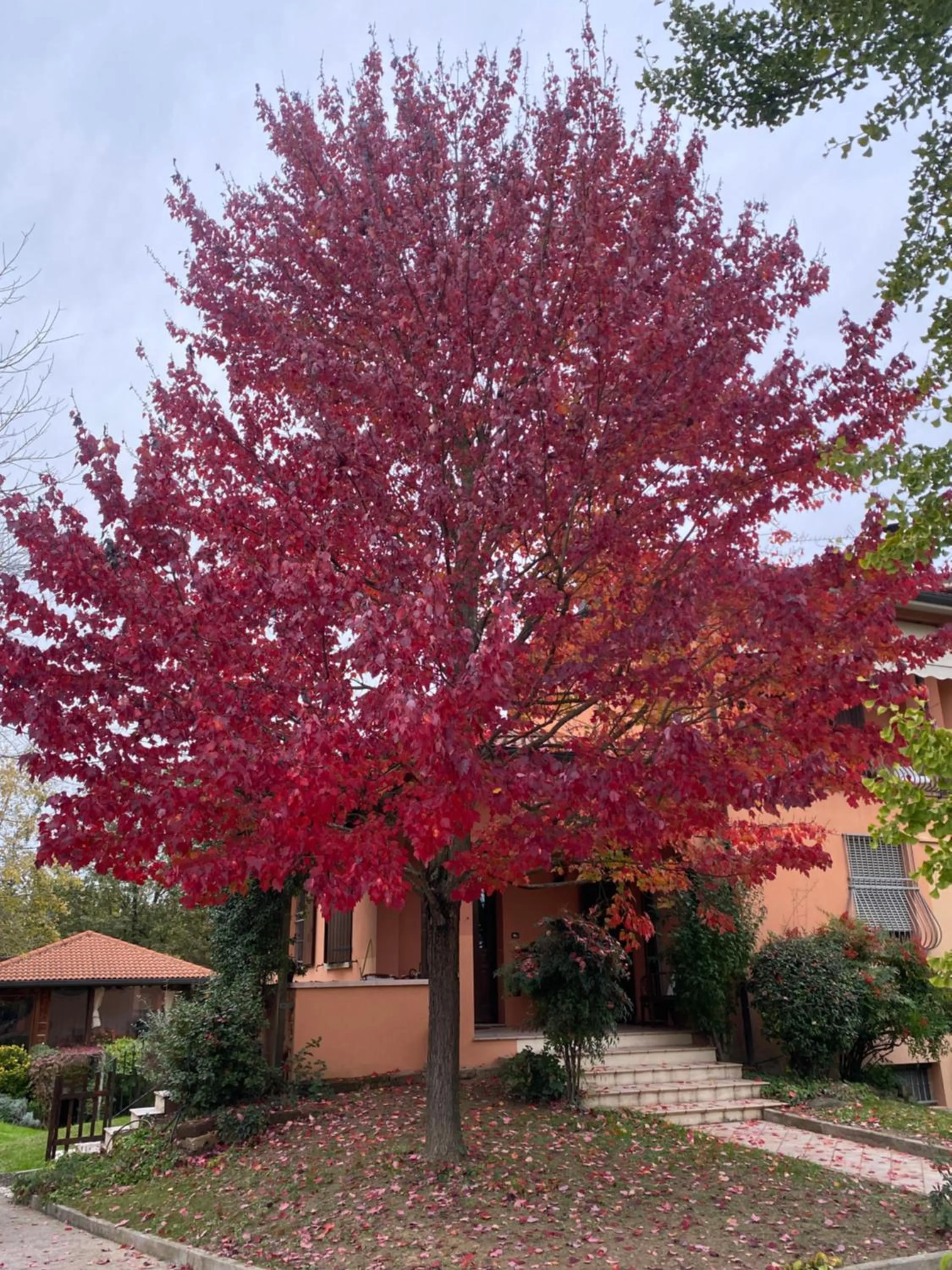 Garden in B&B Mo Va Là