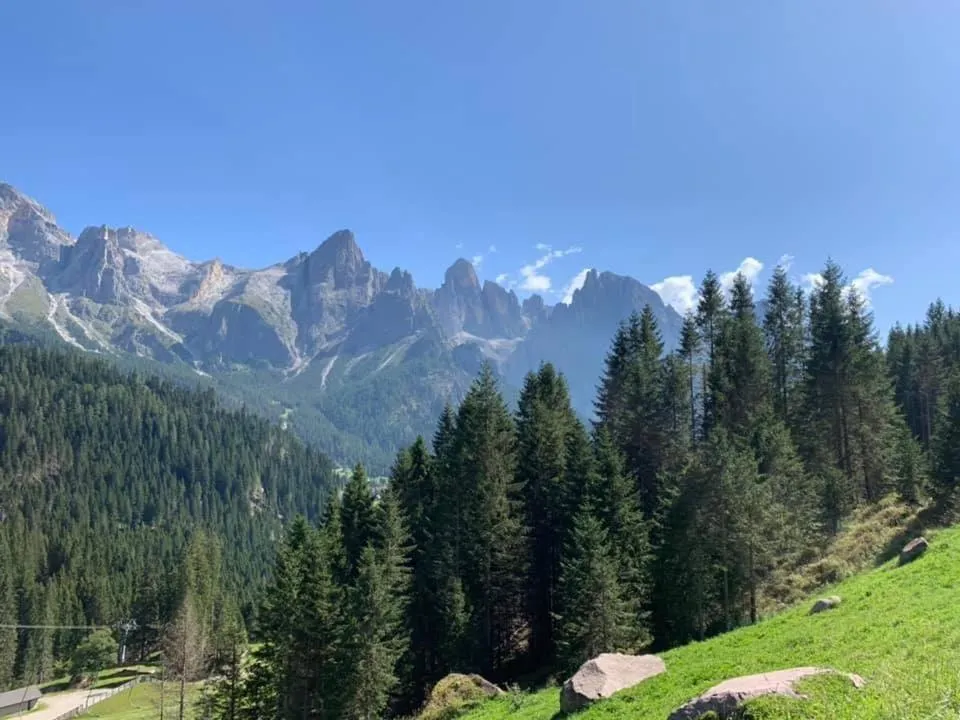 Natural landscape in Chalet Prà delle Nasse
