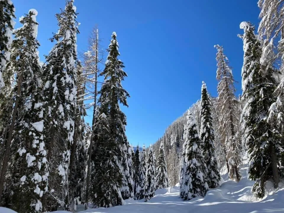 Natural landscape in Chalet Prà delle Nasse