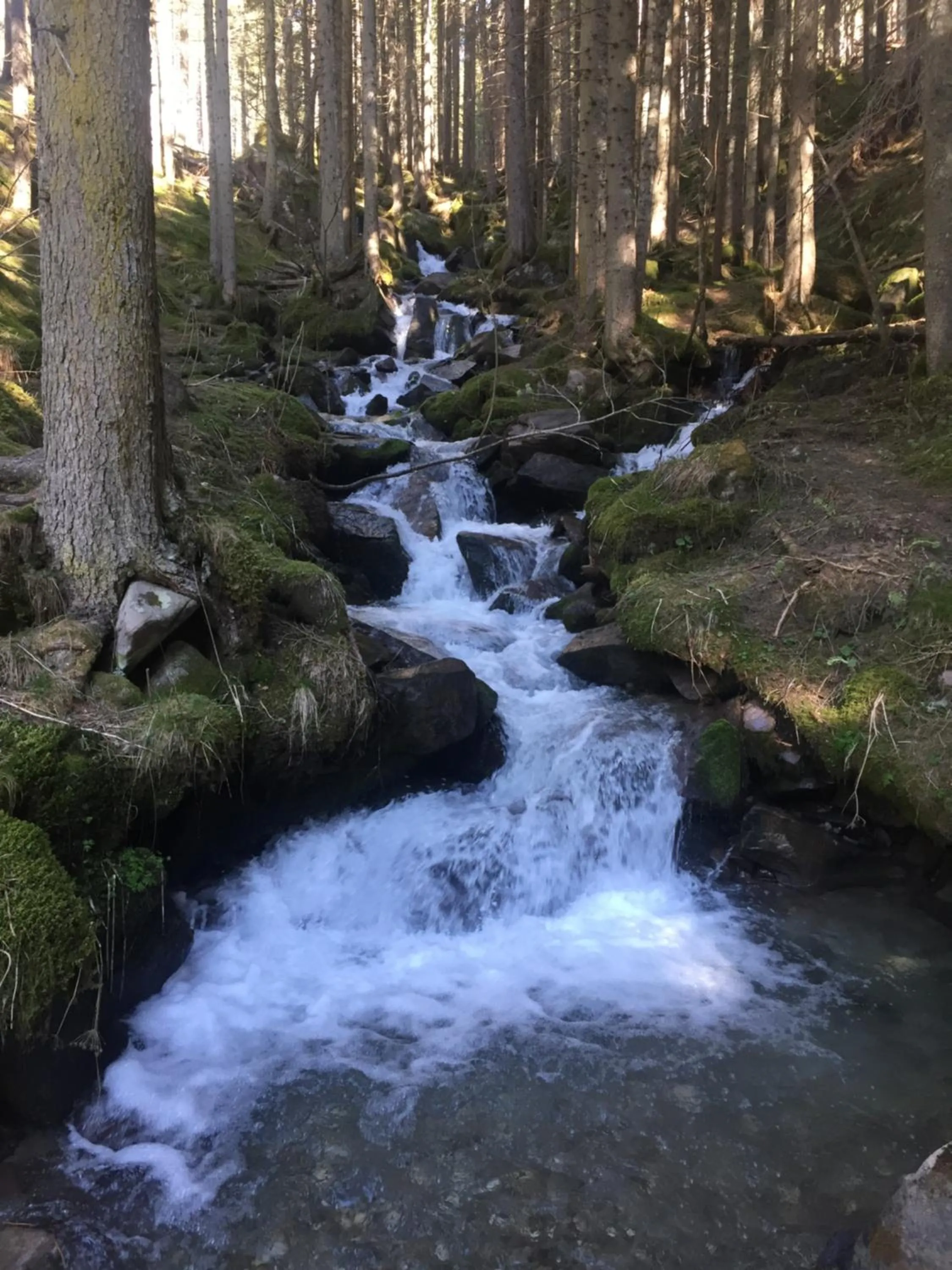 Natural landscape in Chalet Prà delle Nasse