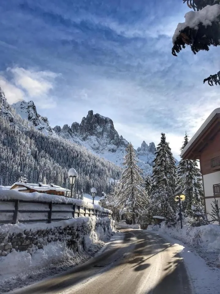 Winter in Chalet Prà delle Nasse