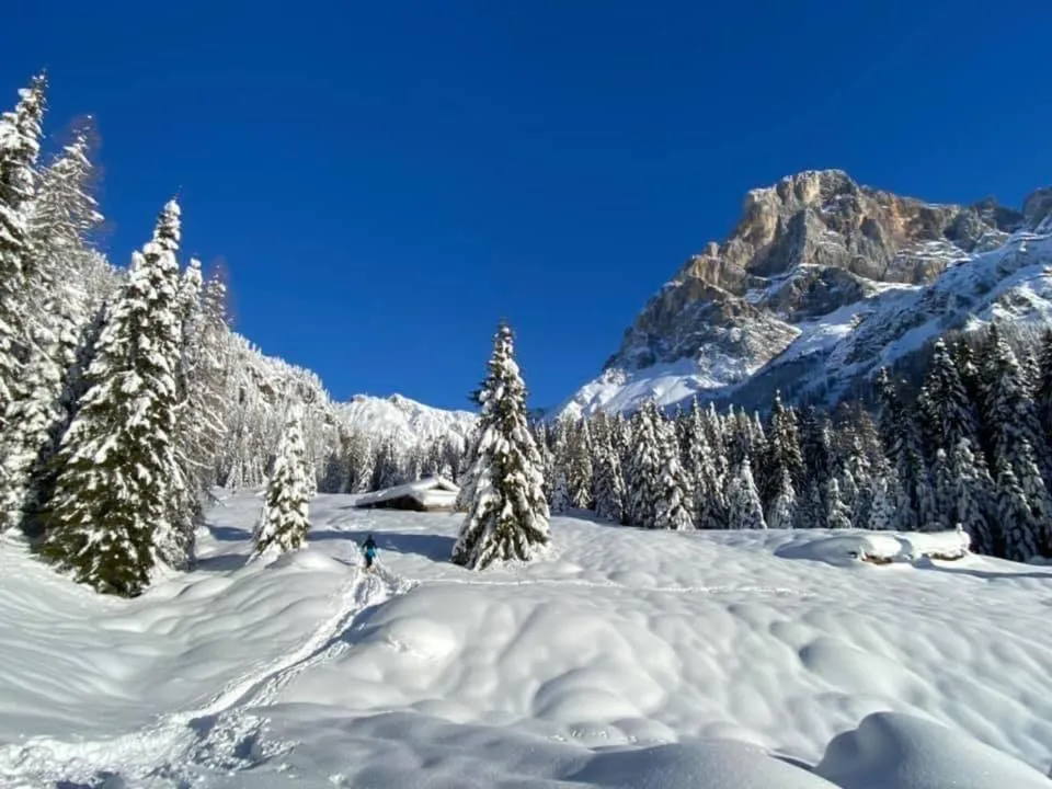 Natural landscape in Chalet Prà delle Nasse