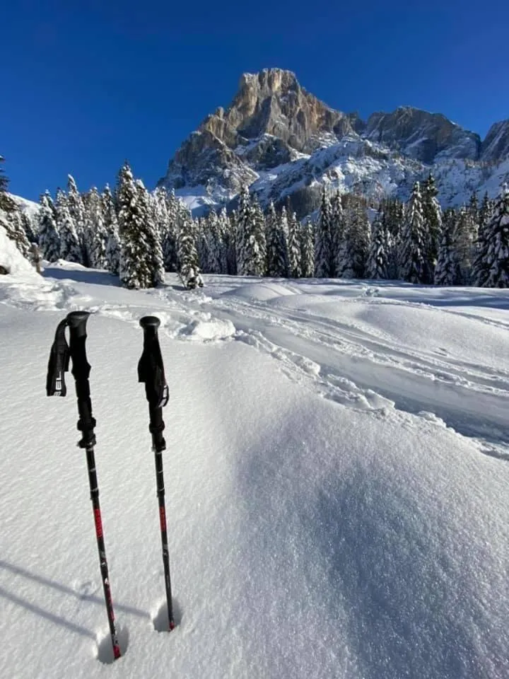 Winter in Chalet Prà delle Nasse
