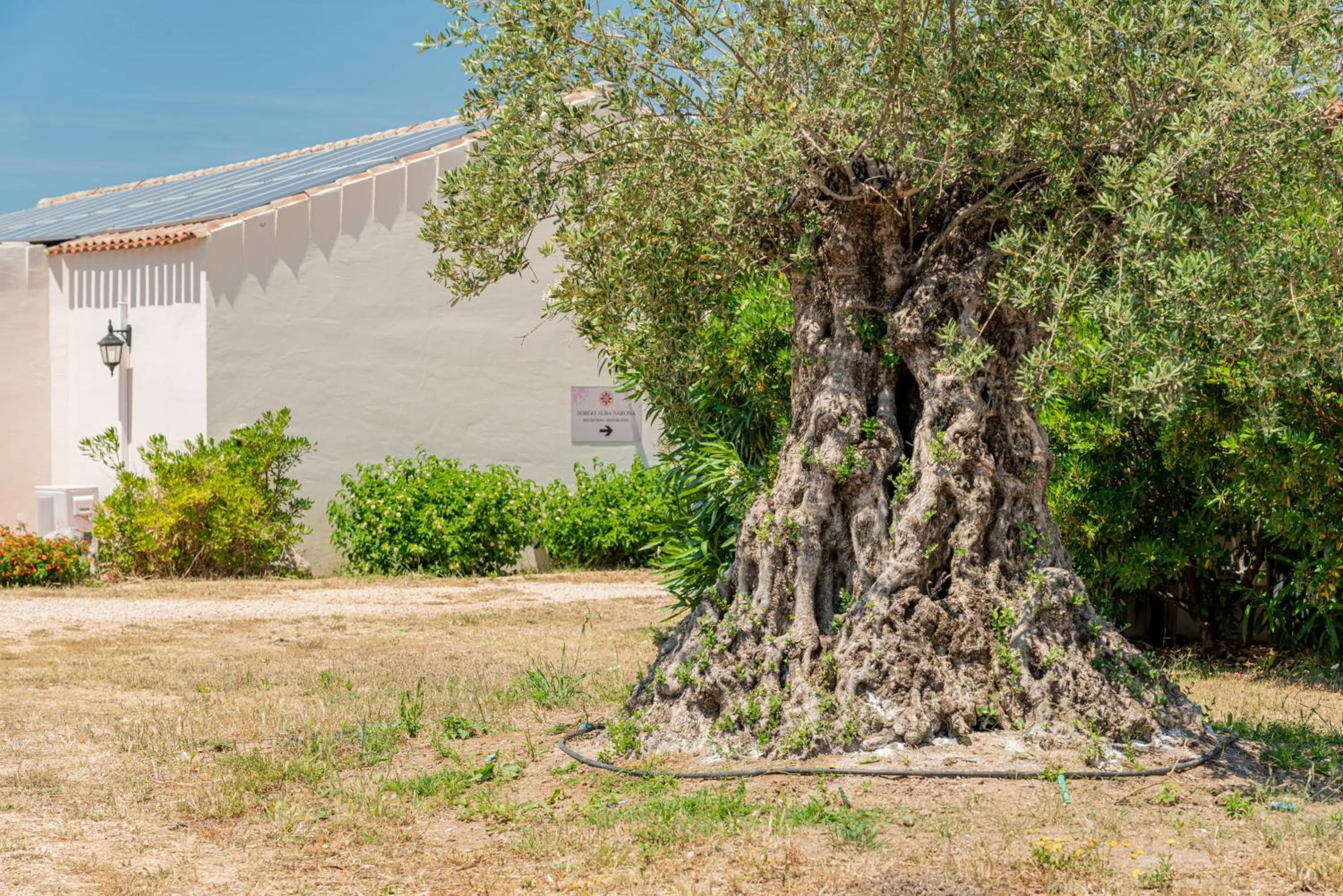 View (from property/room) in Borgo Alba Barona Turismo Rurale