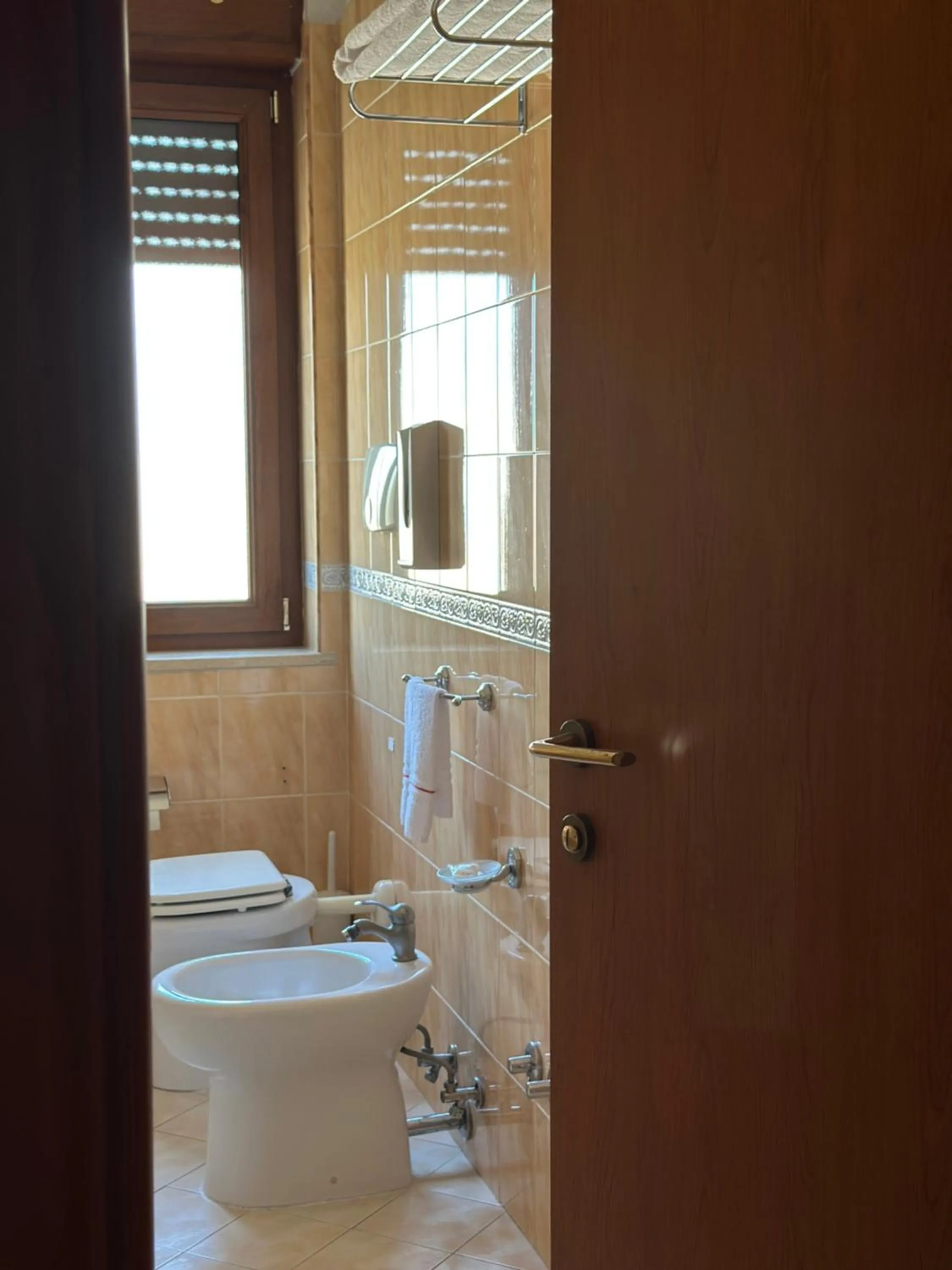 Toilet in Hotel Il Giardino degli Aranci