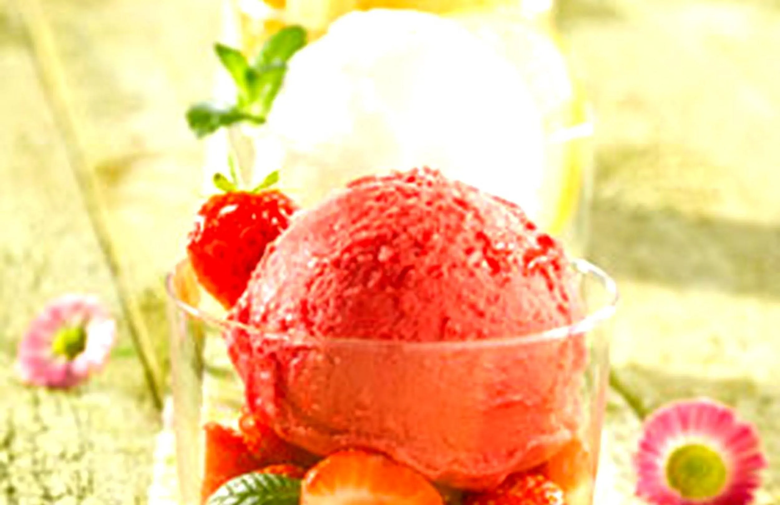 Food in Hotel Playa Santandria Adults Only