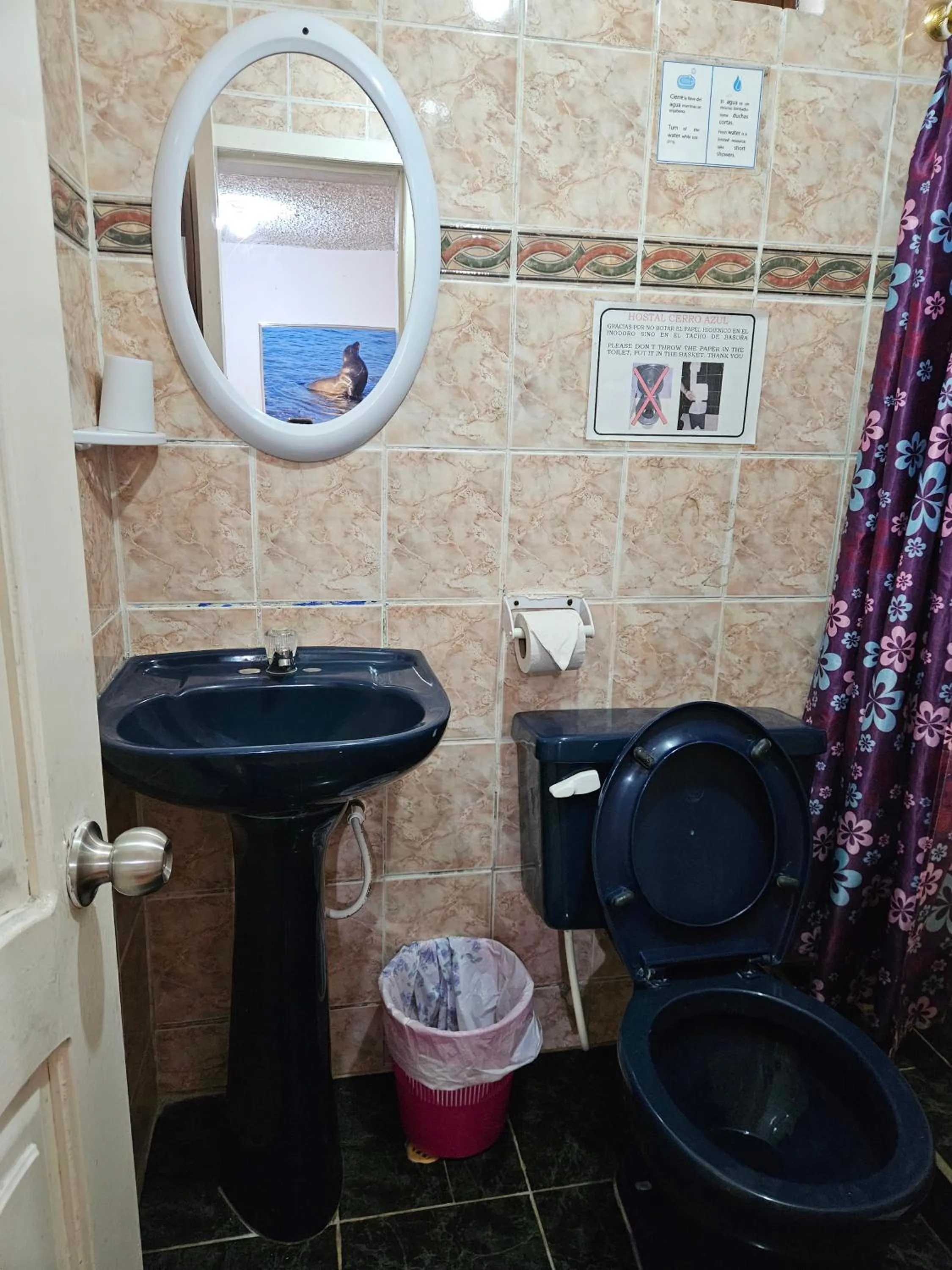 Bathroom in Hostal Cerro Azul