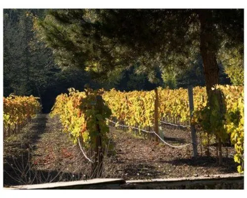 Area and facilities in La Casita de Cabrejas