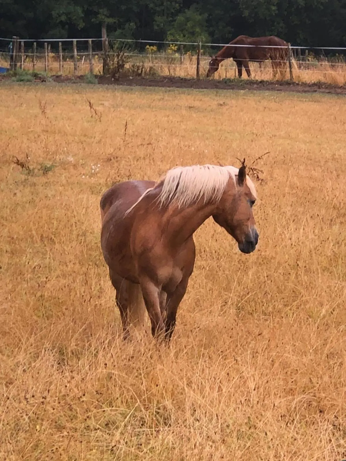 Activities in DOMAINE ST GERMER