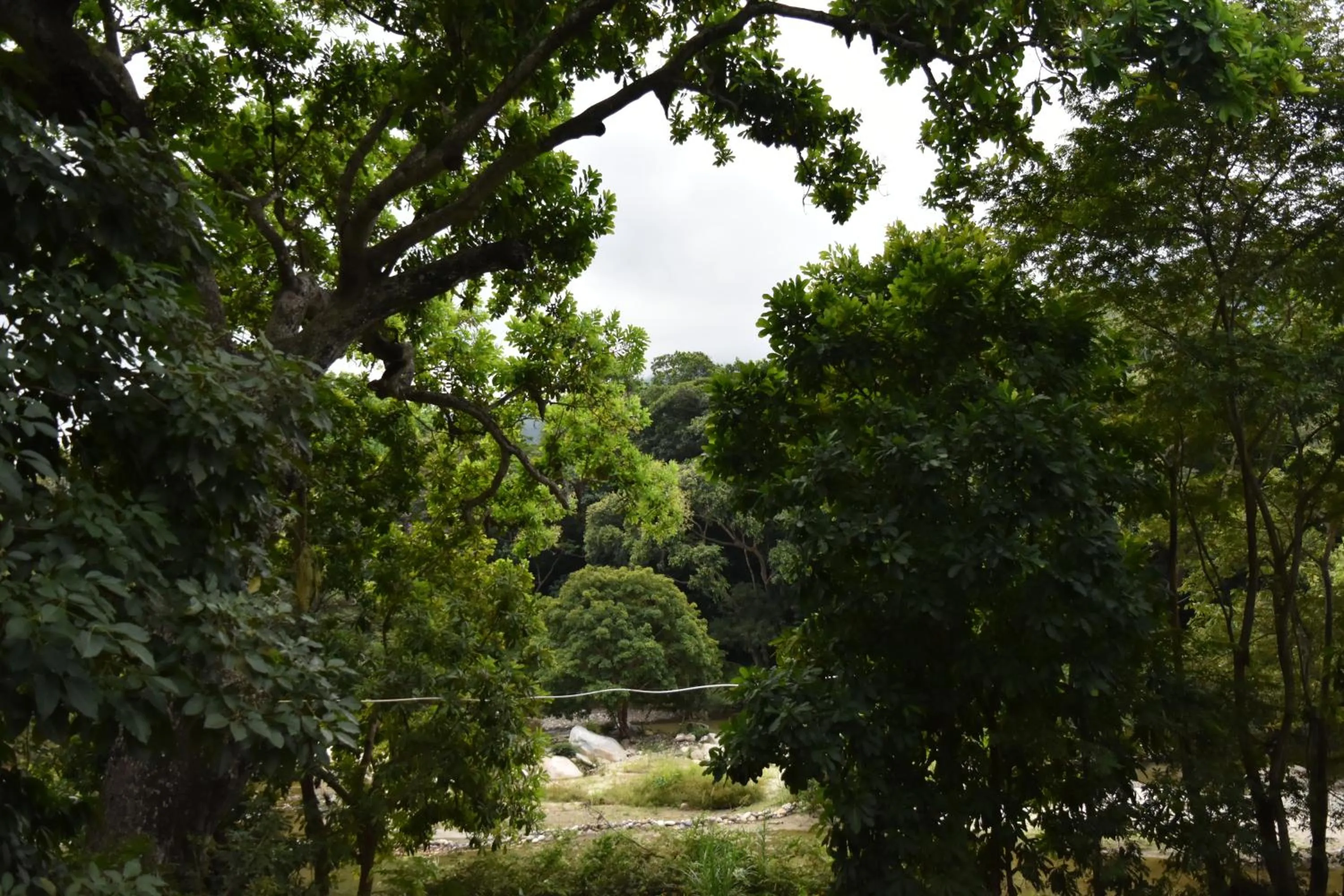 Natural landscape in Eco Hostal Kuima