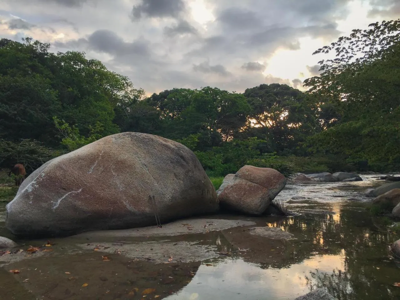 Natural landscape in Eco Hostal Kuima