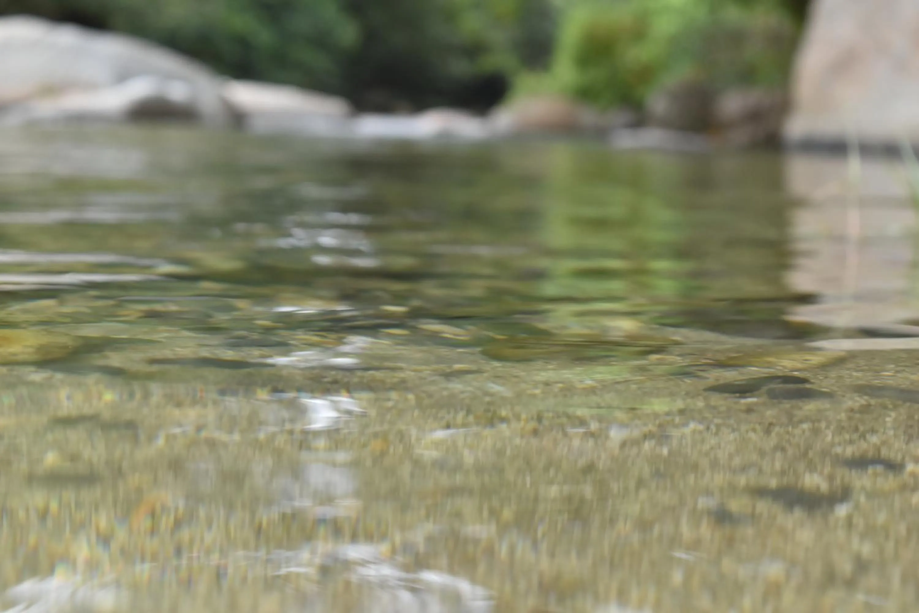 Natural landscape in Eco Hostal Kuima