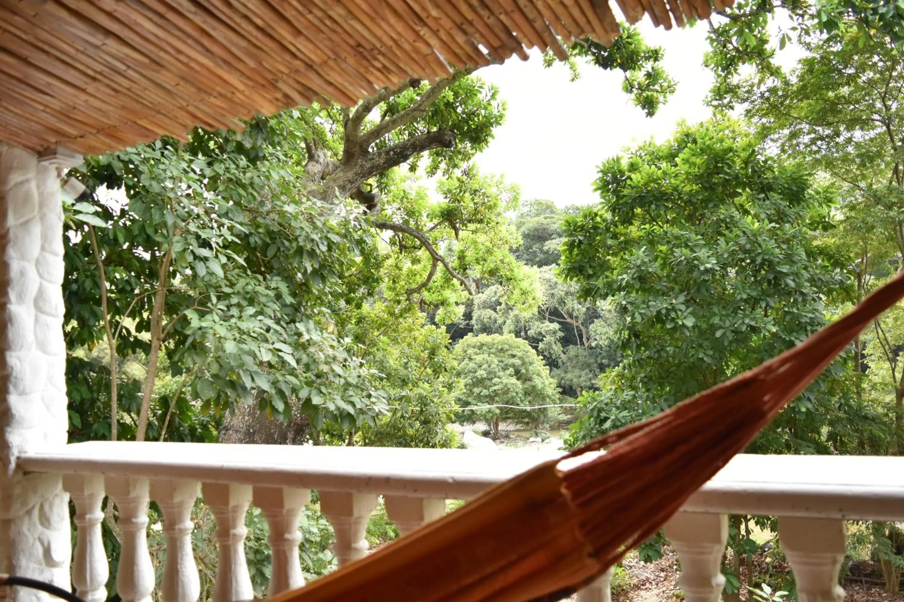 Balcony/Terrace in Eco Hostal Kuima