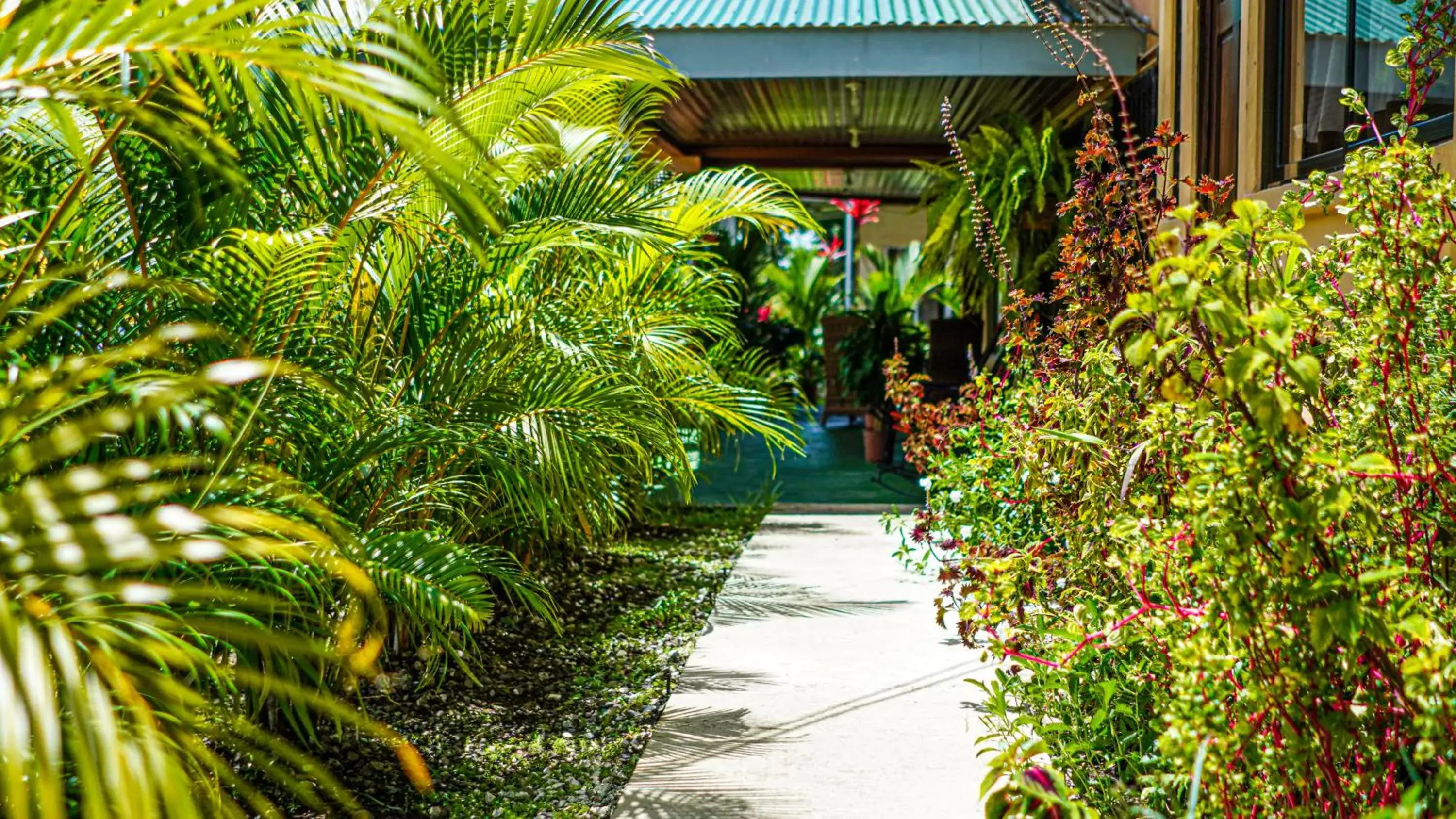 Property building in Hotel Campestre Arenal Property building in Hotel Campestre Arenal