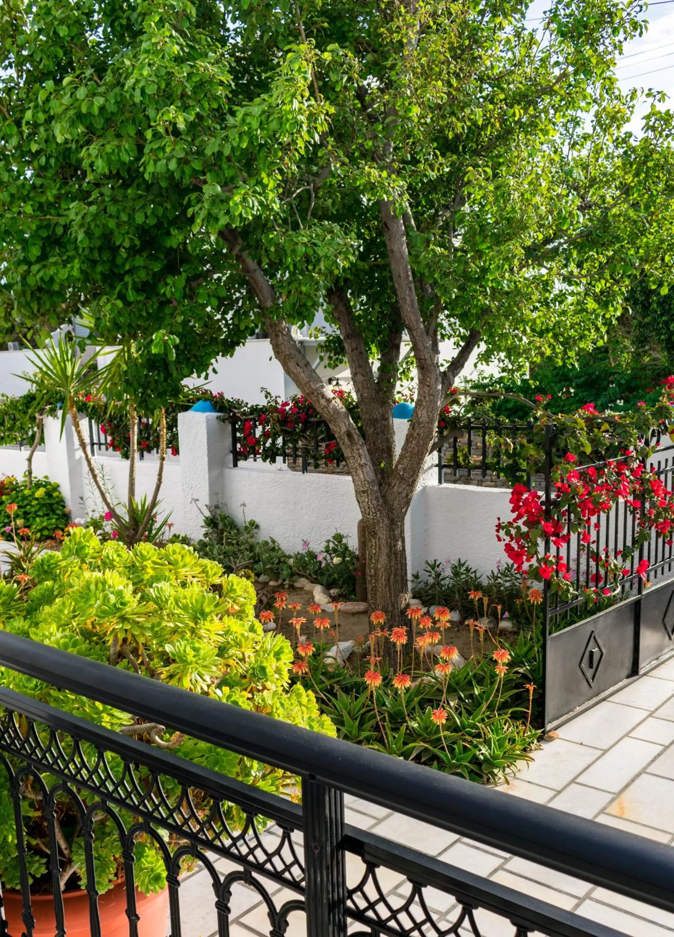 Balcony/Terrace in Dedalos Studios Naxos