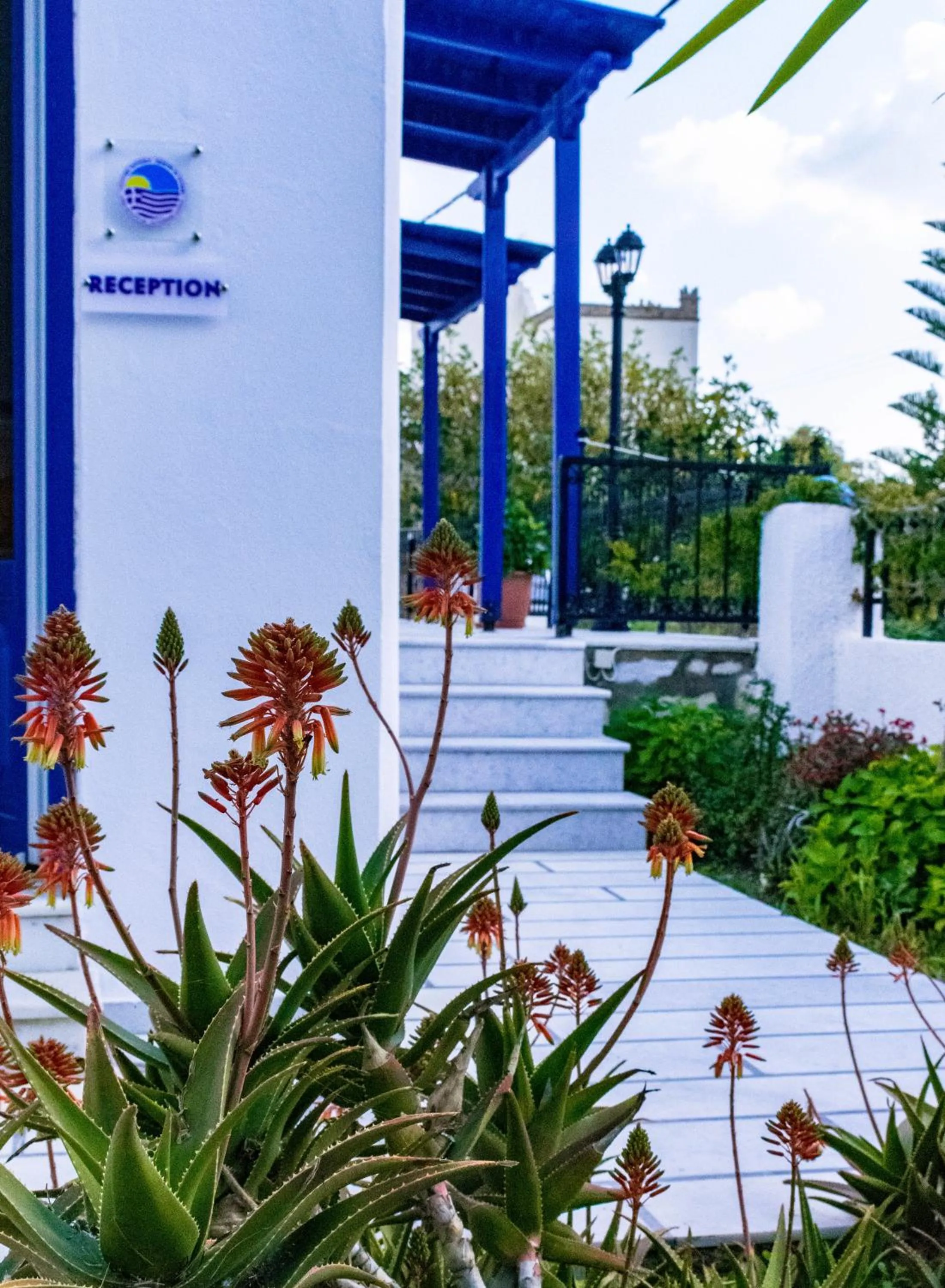 Garden in Dedalos Studios Naxos