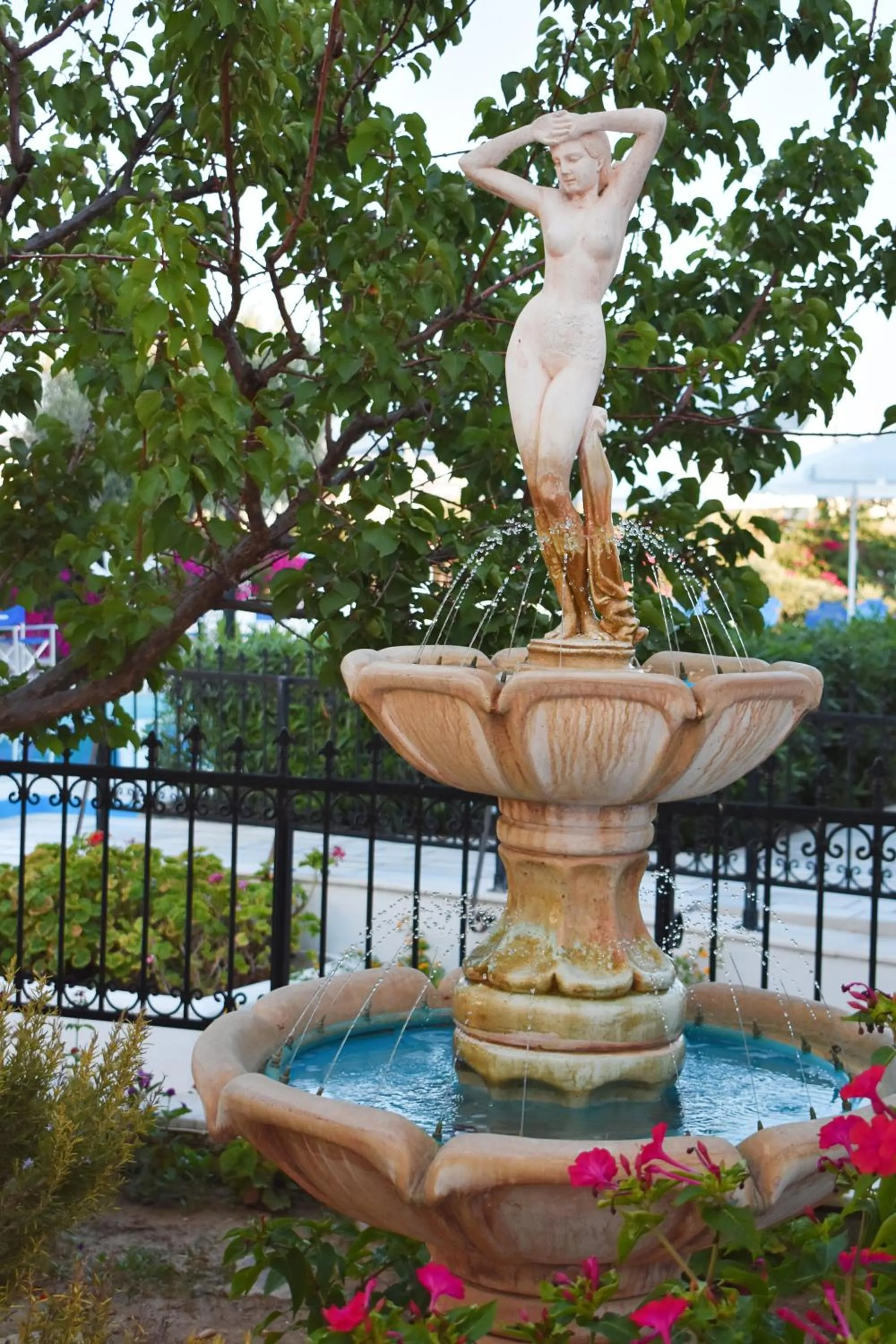 Garden in Dedalos Studios Naxos