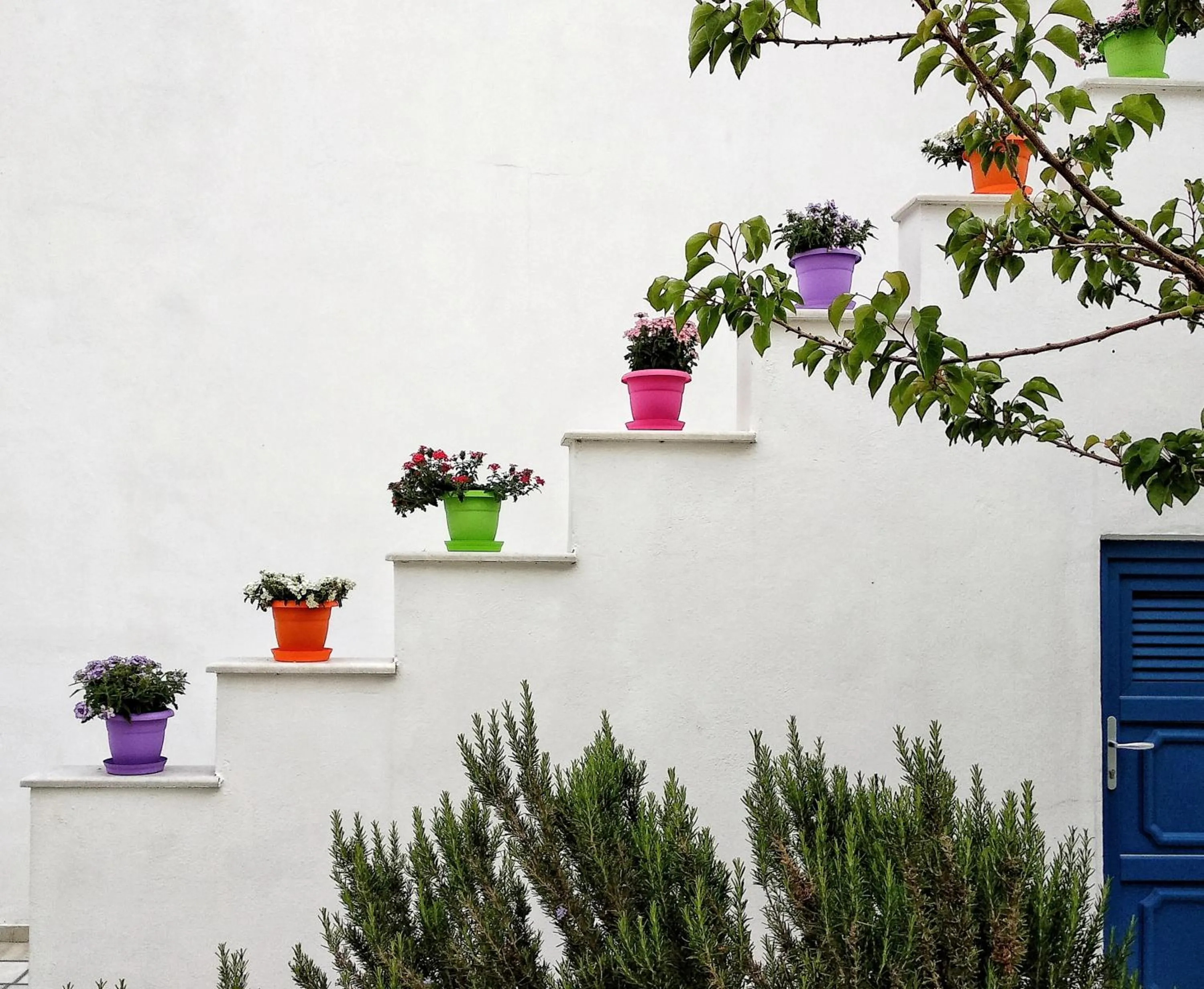 Garden in Dedalos Studios Naxos