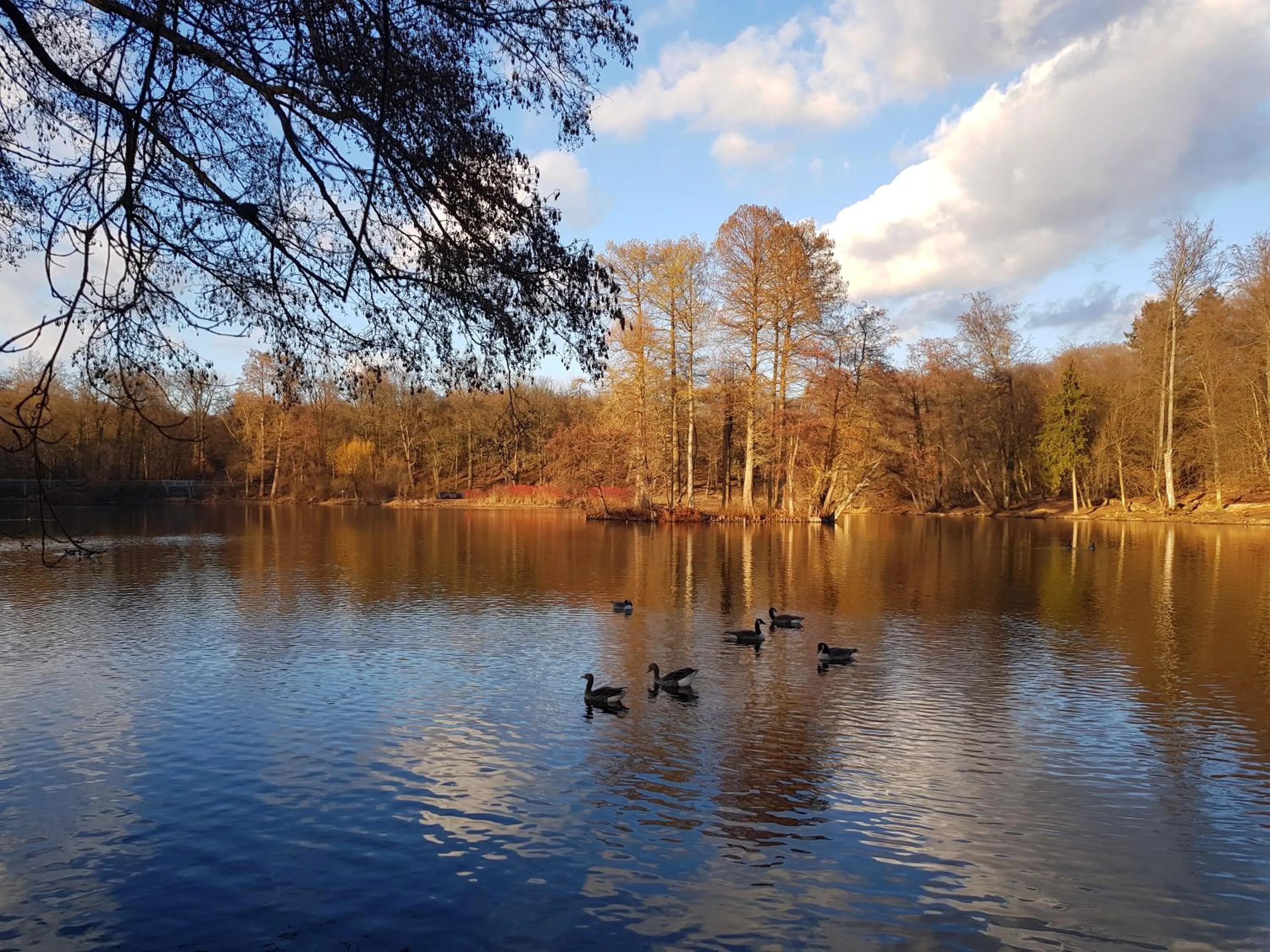 View (from property/room) in Oberwaldhaus